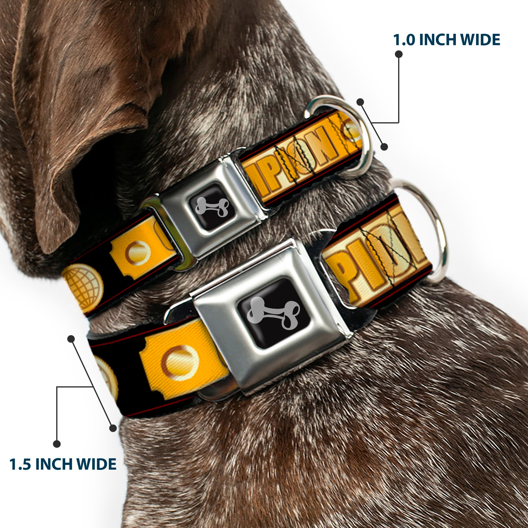 Dog Bone Seatbelt Buckle Collar - CHAMPION Belt/Icons Black/Golds Seatbelt Buckle Collars Buckle-Down