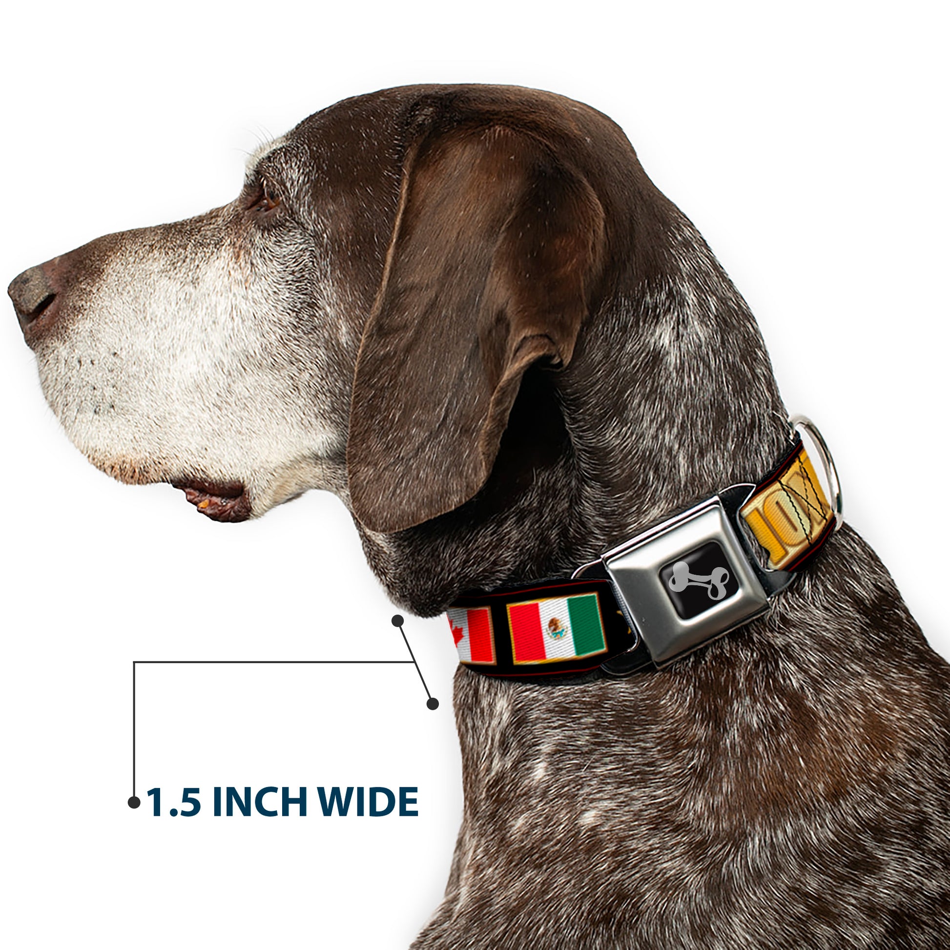 Dog Bone Seatbelt Buckle Collar - CHAMPION Belt/Flags/Stars Black/Golds Seatbelt Buckle Collars Buckle-Down