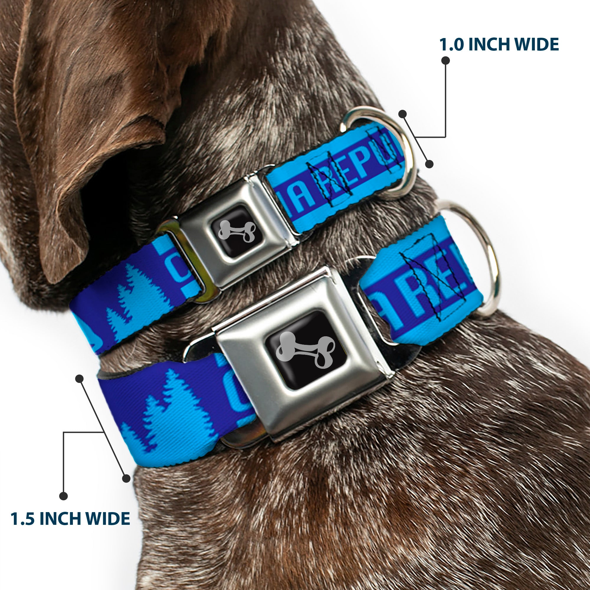 Dog Bone Seatbelt Buckle Collar - CALIFORNIA REPUBLIC/Bear/Stars Silhouette Blues Seatbelt Buckle Collars Buckle-Down
