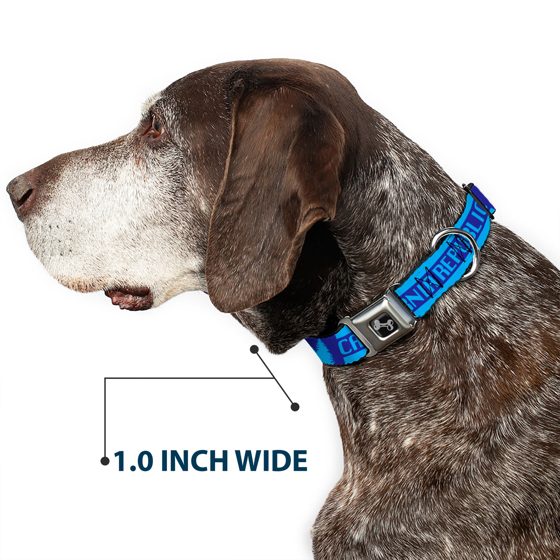 Dog Bone Seatbelt Buckle Collar - CALIFORNIA REPUBLIC/Bear/Stars Silhouette Blues Seatbelt Buckle Collars Buckle-Down