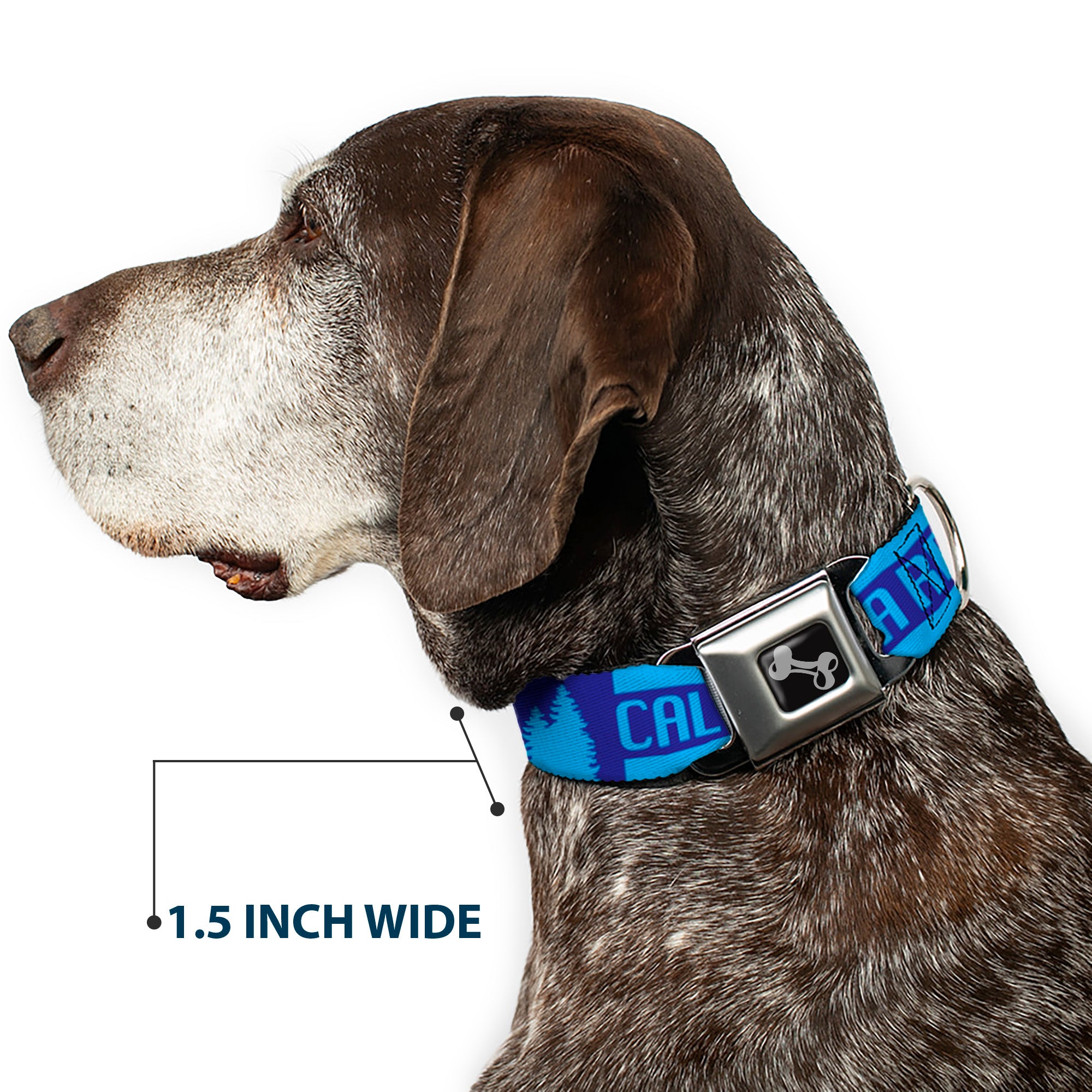 Dog Bone Seatbelt Buckle Collar - CALIFORNIA REPUBLIC/Bear/Stars Silhouette Blues Seatbelt Buckle Collars Buckle-Down