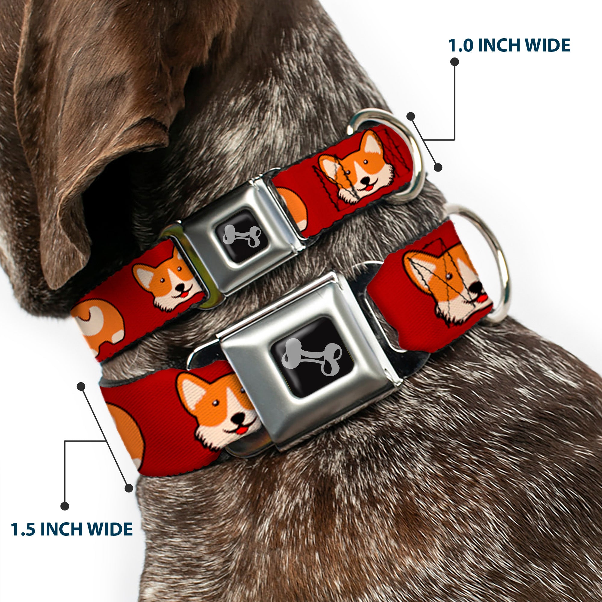 Dog Bone Seatbelt Buckle Collar - Corgi Face/Rump Red Seatbelt Buckle Collars Buckle-Down