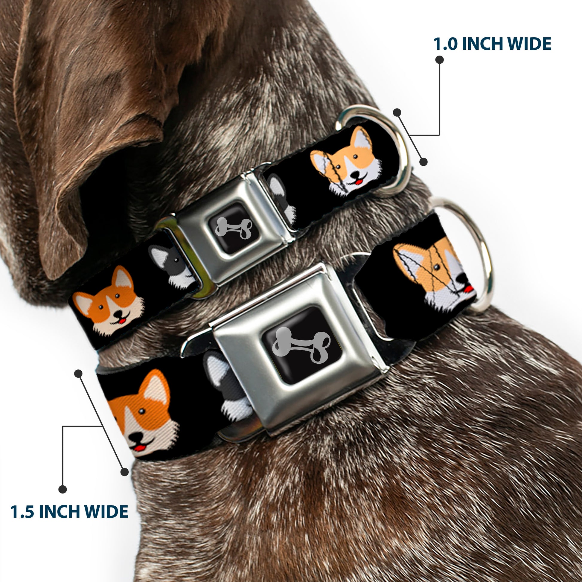 Dog Bone Seatbelt Buckle Collar - Corgi 3-Faces Black Seatbelt Buckle Collars Buckle-Down