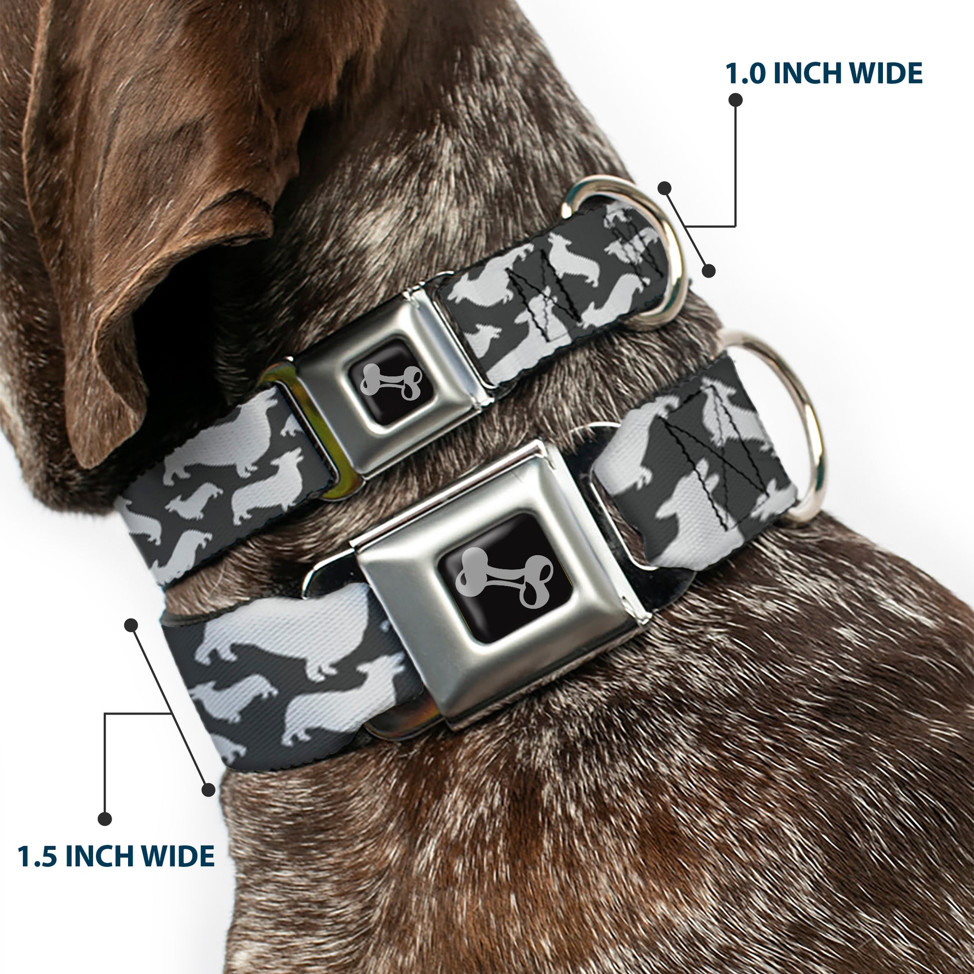 Dog Bone Seatbelt Buckle Collar - Corgi Silhouette Poses Grays Seatbelt Buckle Collars Buckle-Down