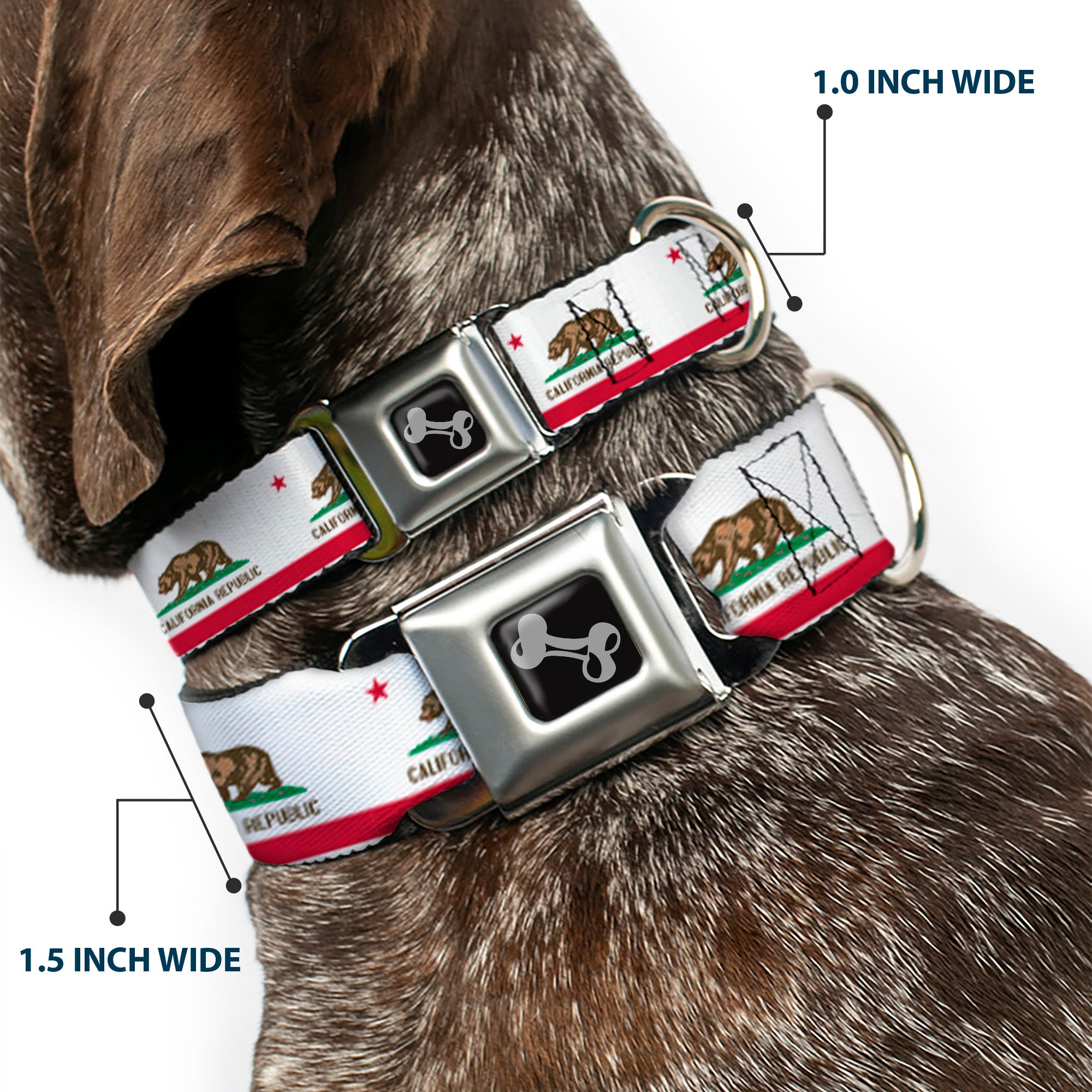 Dog Bone Black/Silver Seatbelt Buckle Collar - California Flag Continuous Seatbelt Buckle Collars Buckle-Down