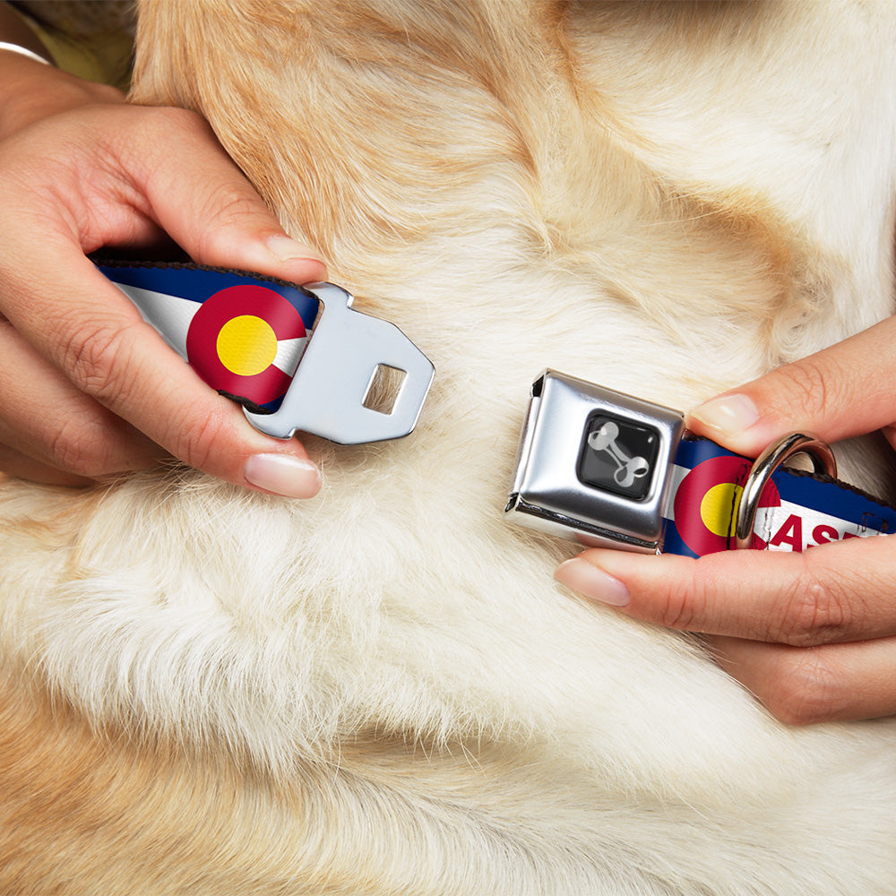 Dog Bone Black/Silver Seatbelt Buckle Collar - Colorado CASTLE ROCK Flag Blue/White/Red/Yellows Seatbelt Buckle Collars Buckle-Down