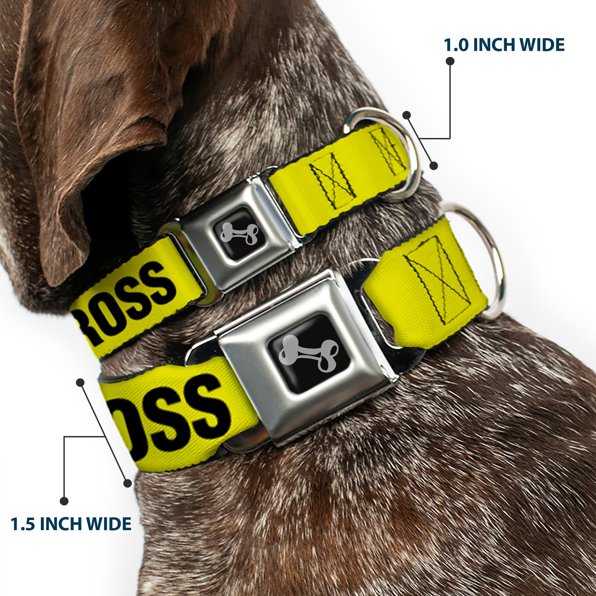 Dog Bone Seatbelt Buckle Collar - CRIME SCENE DO NOT CROSS Yellow/Black Seatbelt Buckle Collars Buckle-Down