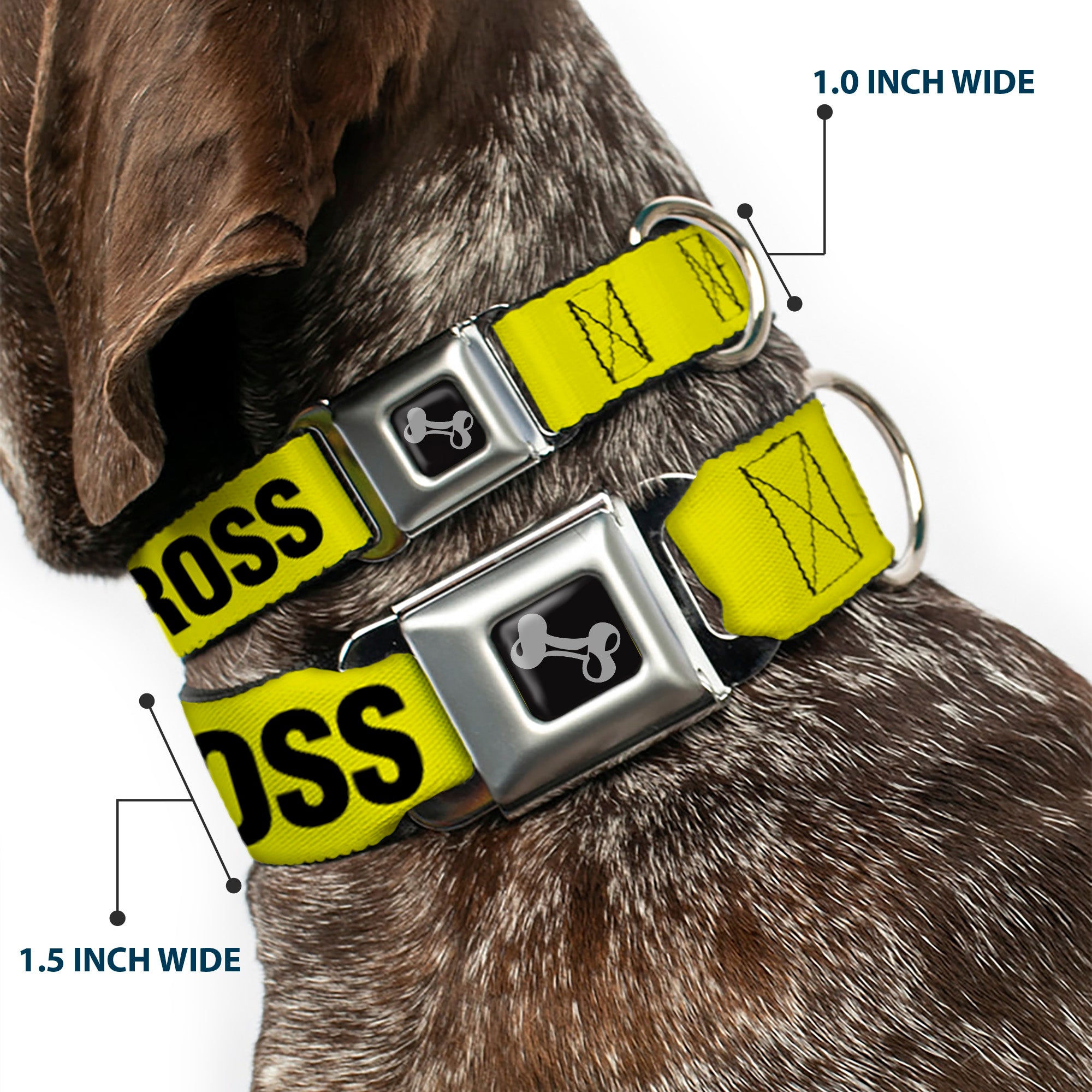Dog Bone Seatbelt Buckle Collar - CRIME SCENE DO NOT CROSS Yellow/Black Seatbelt Buckle Collars Buckle-Down