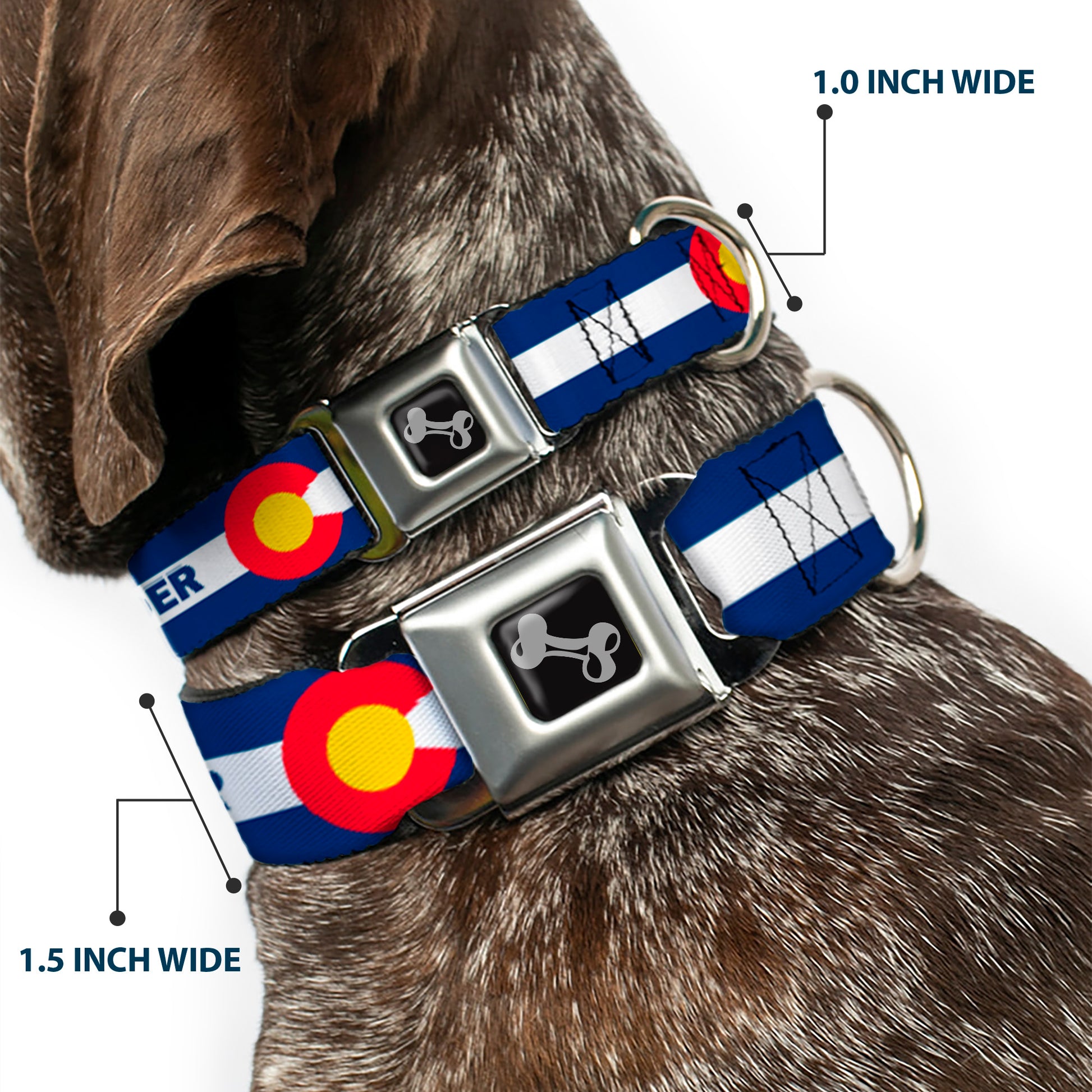Dog Bone Black/Silver Seatbelt Buckle Collar - Colorado BOULDER Flag Blue/White/Red/Yellow Seatbelt Buckle Collars Buckle-Down