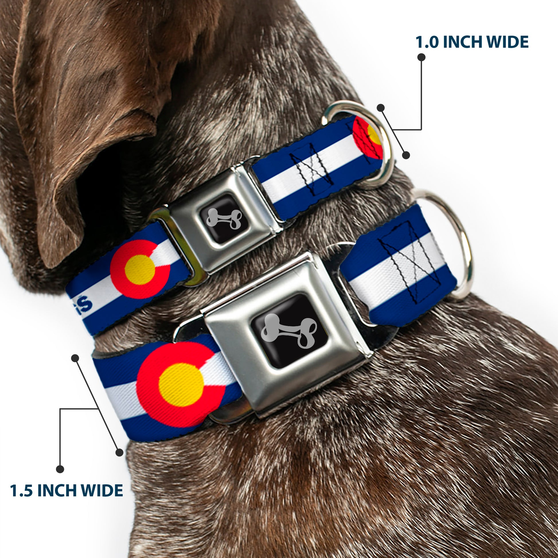 Dog Bone Black/Silver Seatbelt Buckle Collar - Colorado MANITOU SPRINGS Flag Blue/White/Red/Yellow Seatbelt Buckle Collars Buckle-Down