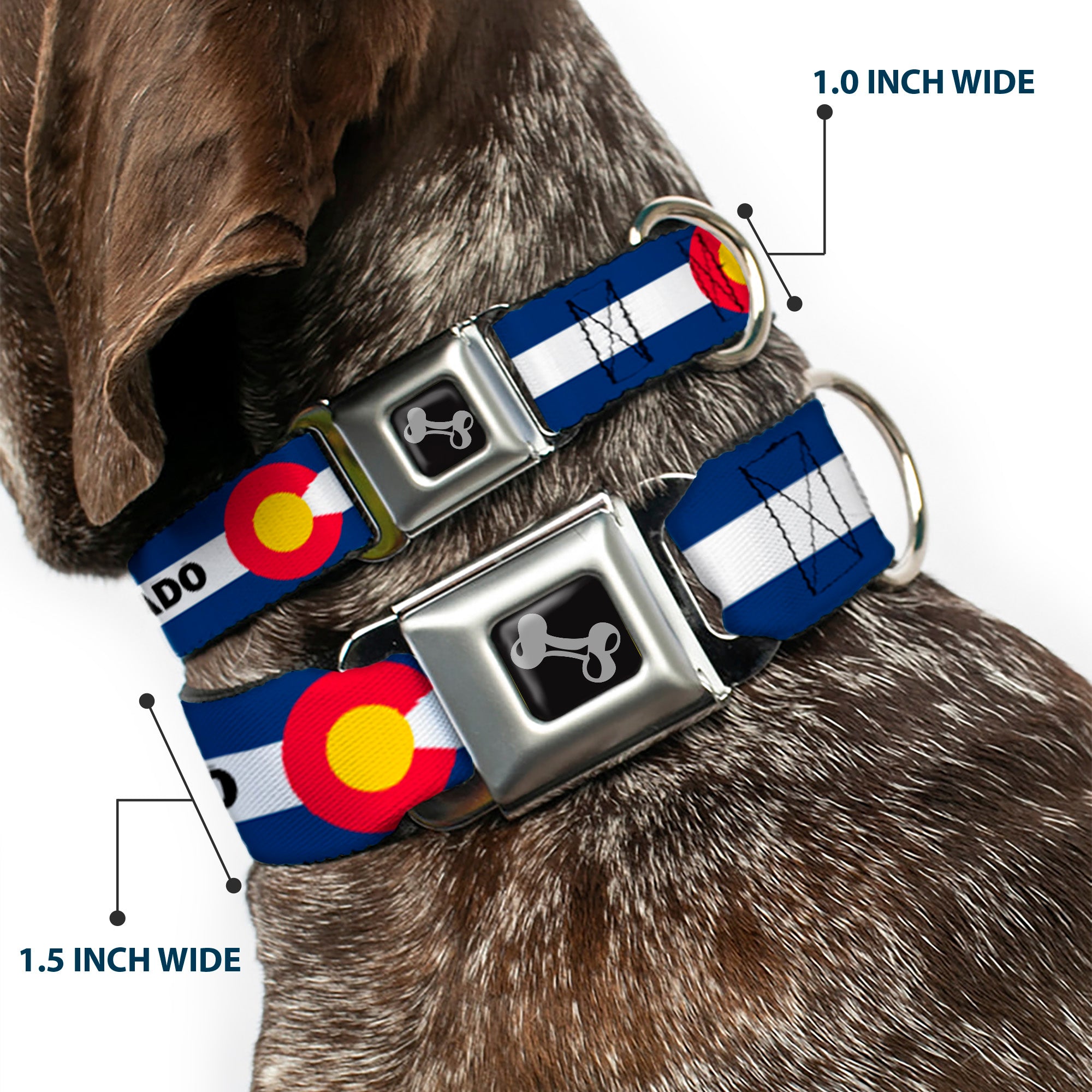 Dog Bone Black/Silver Seatbelt Buckle Collar - COLORADO Text Flag Blue/White/Red/Yellow Seatbelt Buckle Collars Buckle-Down