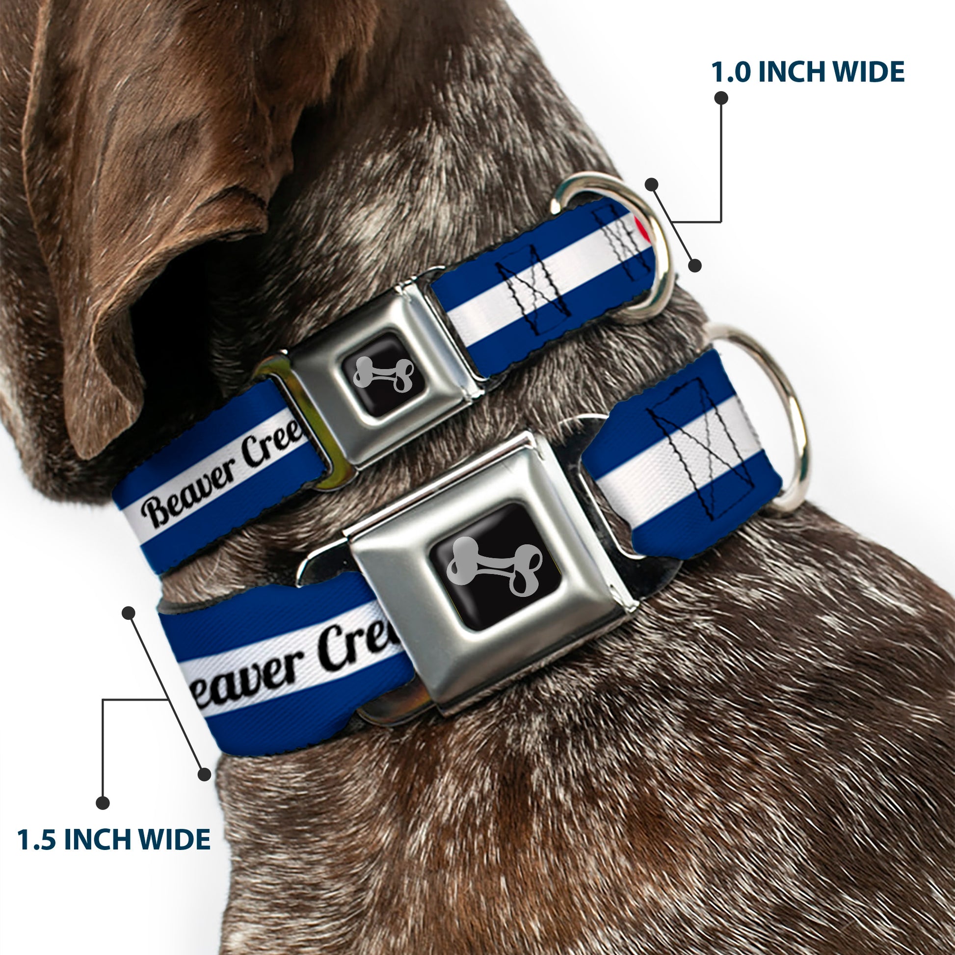 Dog Bone Black/Silver Seatbelt Buckle Collar - Colorado BEAVER CREEK Flag Blue/White/Red/Yellow Seatbelt Buckle Collars Buckle-Down
