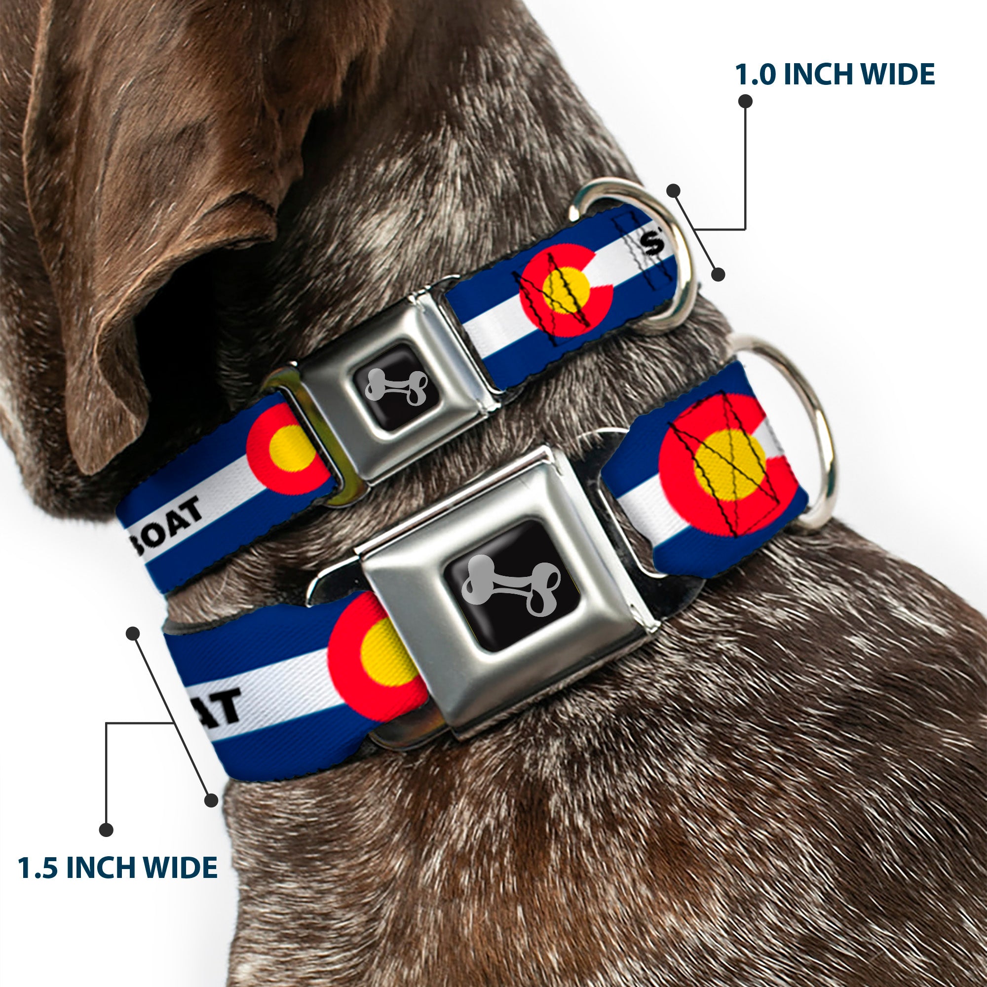 Dog Bone Black/Silver Seatbelt Buckle Collar - Colorado STEAMBOAT Flag Blue/White/Red/Yellow Seatbelt Buckle Collars Buckle-Down
