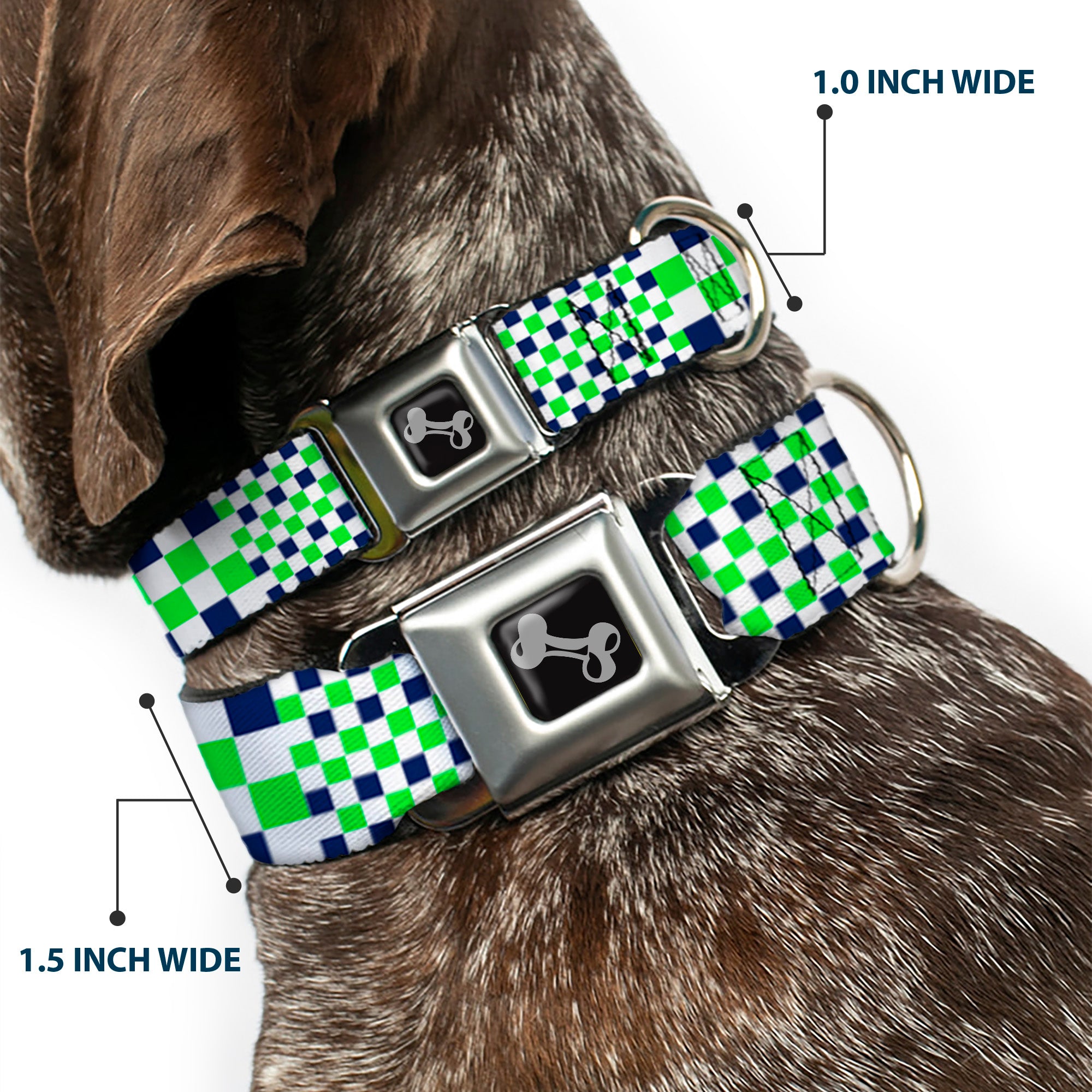 Dog Bone Black/Silver Seatbelt Buckle Collar - Checker Blocks White/Navy/Neon Green Seatbelt Buckle Collars Buckle-Down