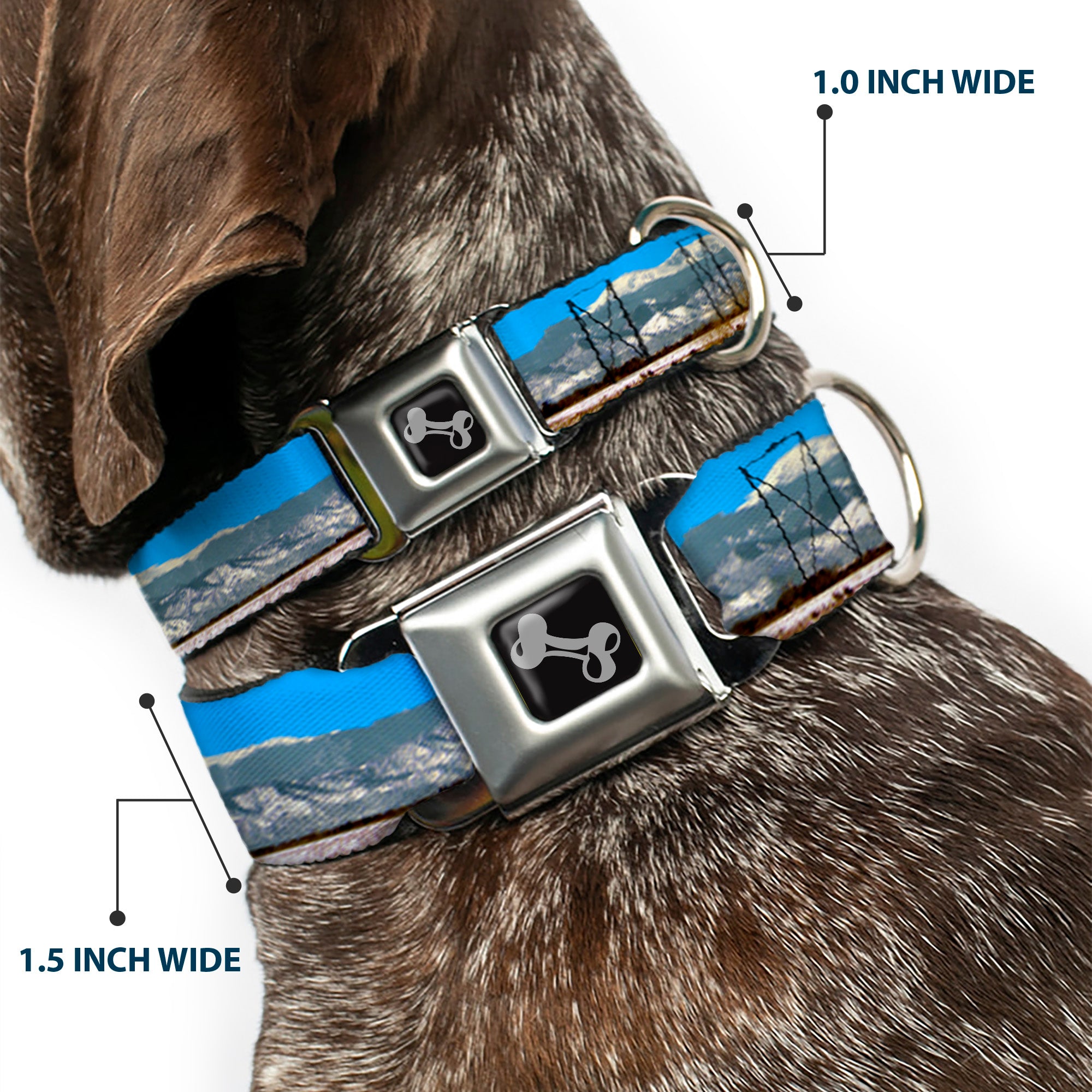 Seatbelt Buckle Collar - Colorado Mount Evans Vivid Landscape/Colorado Flag Icon Seatbelt Buckle Collars Buckle-Down