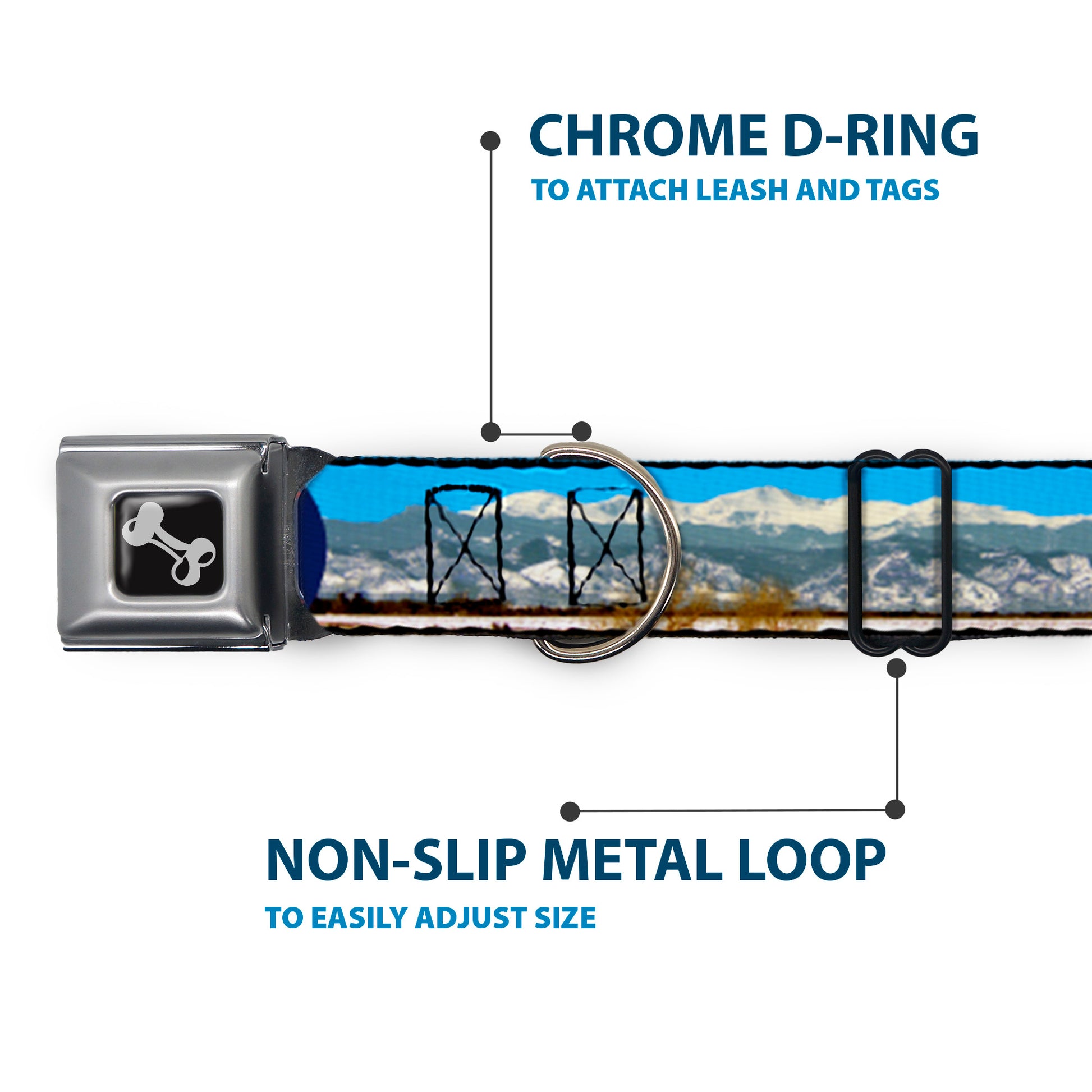 Seatbelt Buckle Collar - Colorado Mount Evans Vivid Landscape/Colorado Flag Icon Seatbelt Buckle Collars Buckle-Down