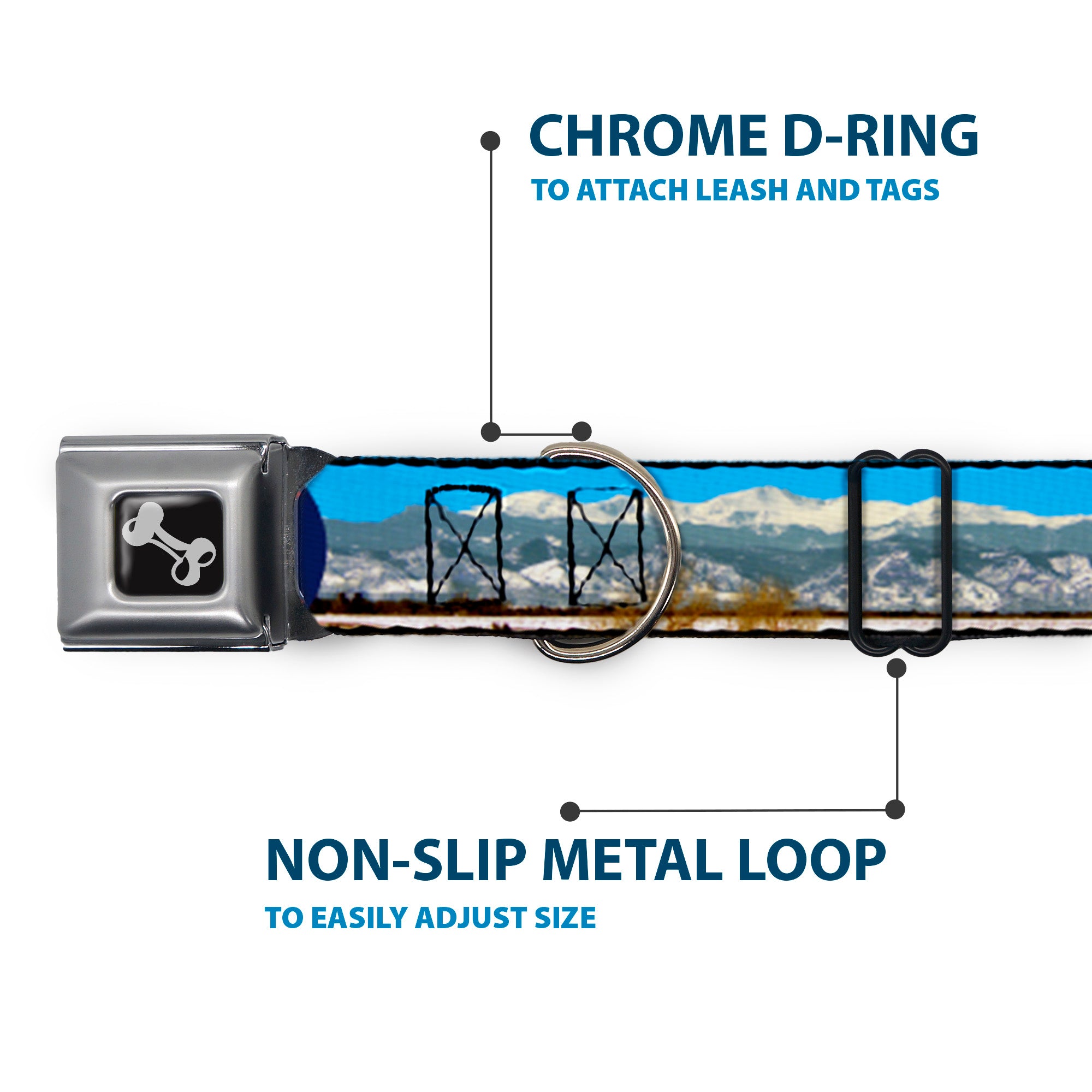 Seatbelt Buckle Collar - Colorado Mount Evans Vivid Landscape/Colorado Flag Icon Seatbelt Buckle Collars Buckle-Down