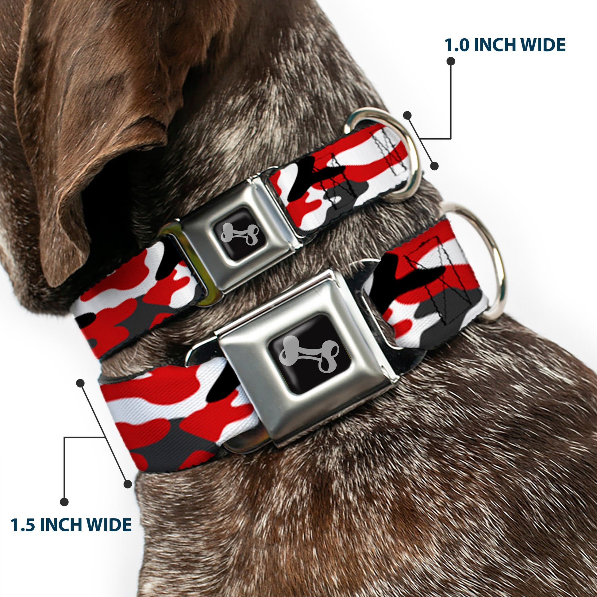 Dog Bone Black/Silver Seatbelt Buckle Collar - Camo Red/Black/Gray/White Seatbelt Buckle Collars Buckle-Down
