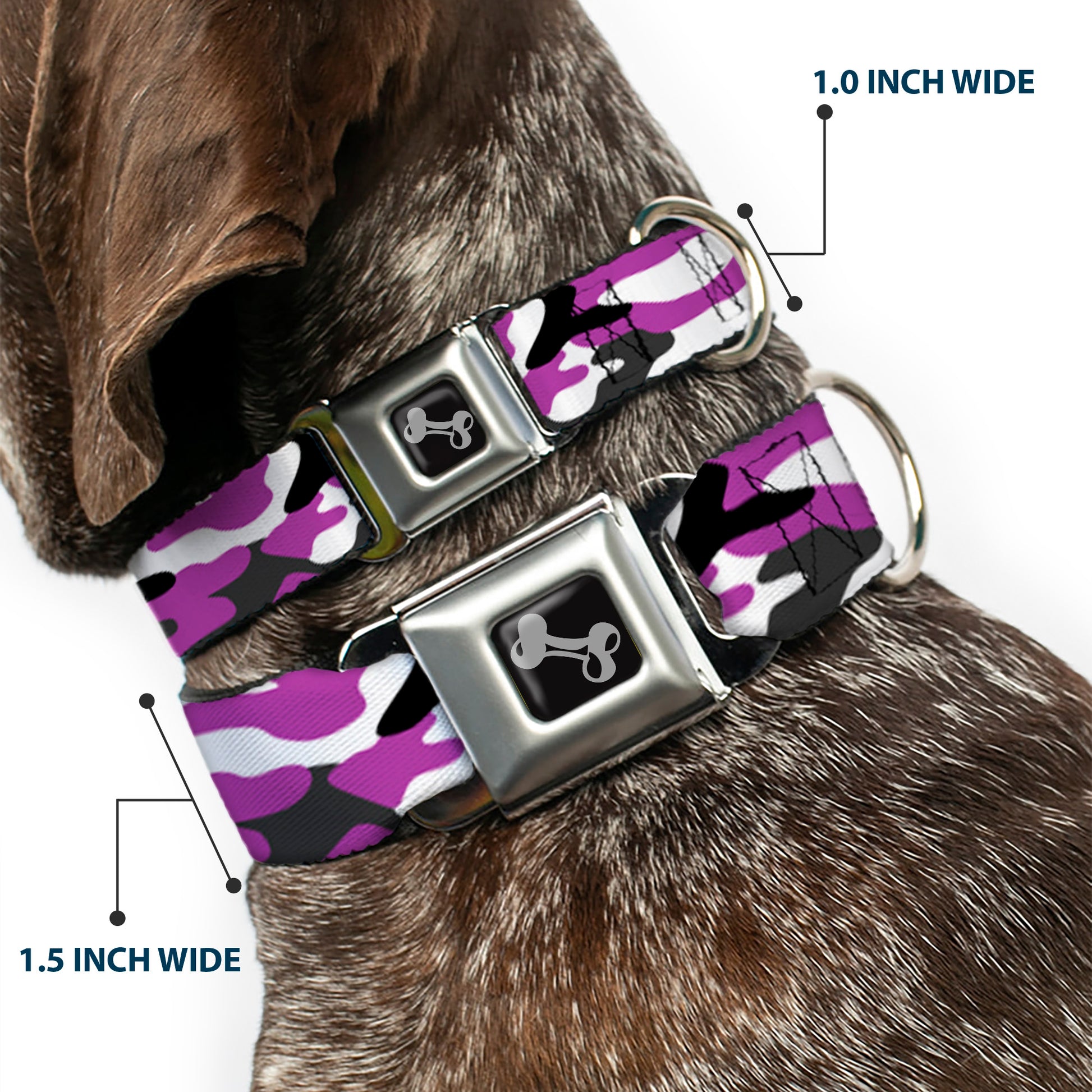 Dog Bone Black/Silver Seatbelt Buckle Collar - Camo Purple/Black/Gray/White Seatbelt Buckle Collars Buckle-Down