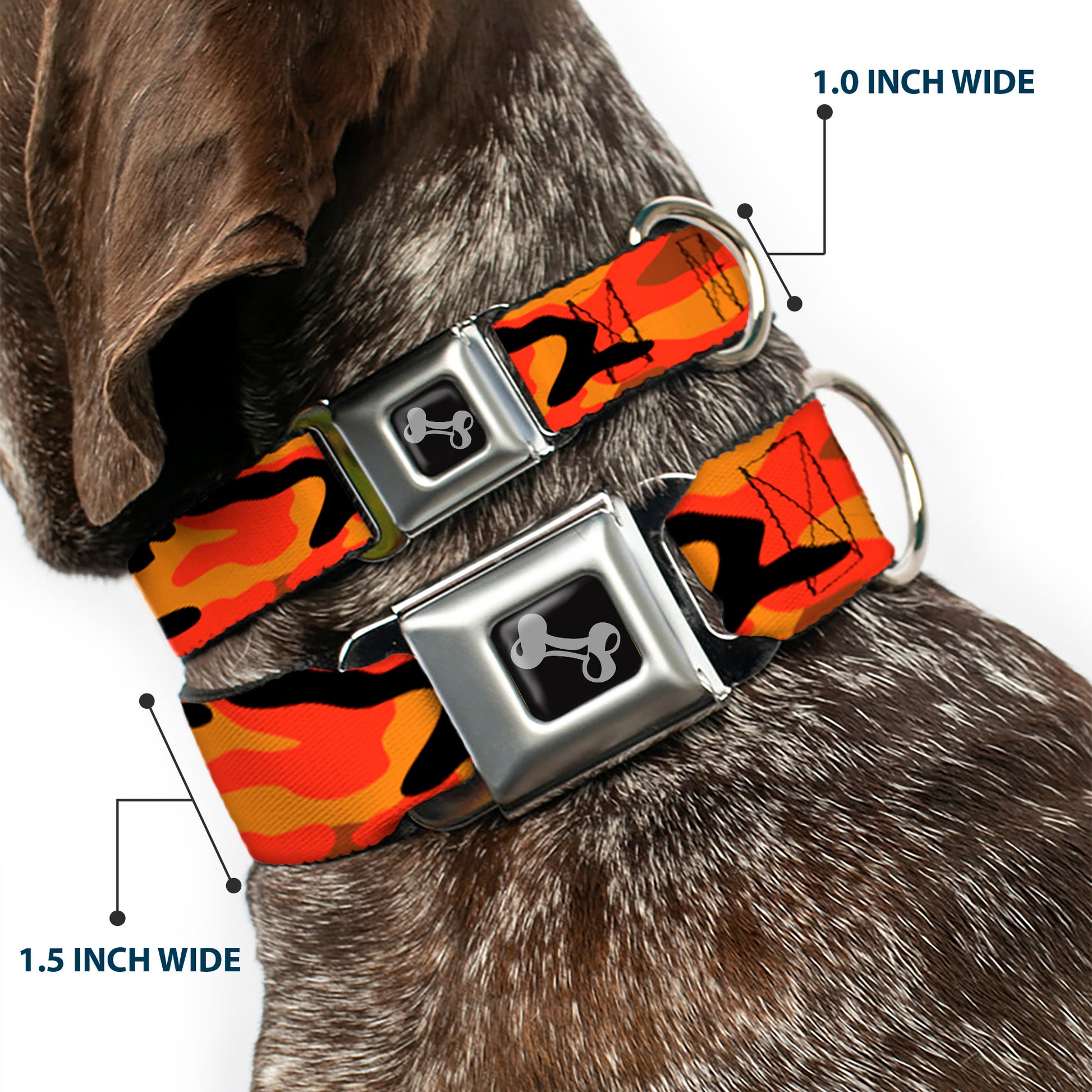 Dog Bone Black/Silver Seatbelt Buckle Collar - Camo Oranges/Black Seatbelt Buckle Collars Buckle-Down