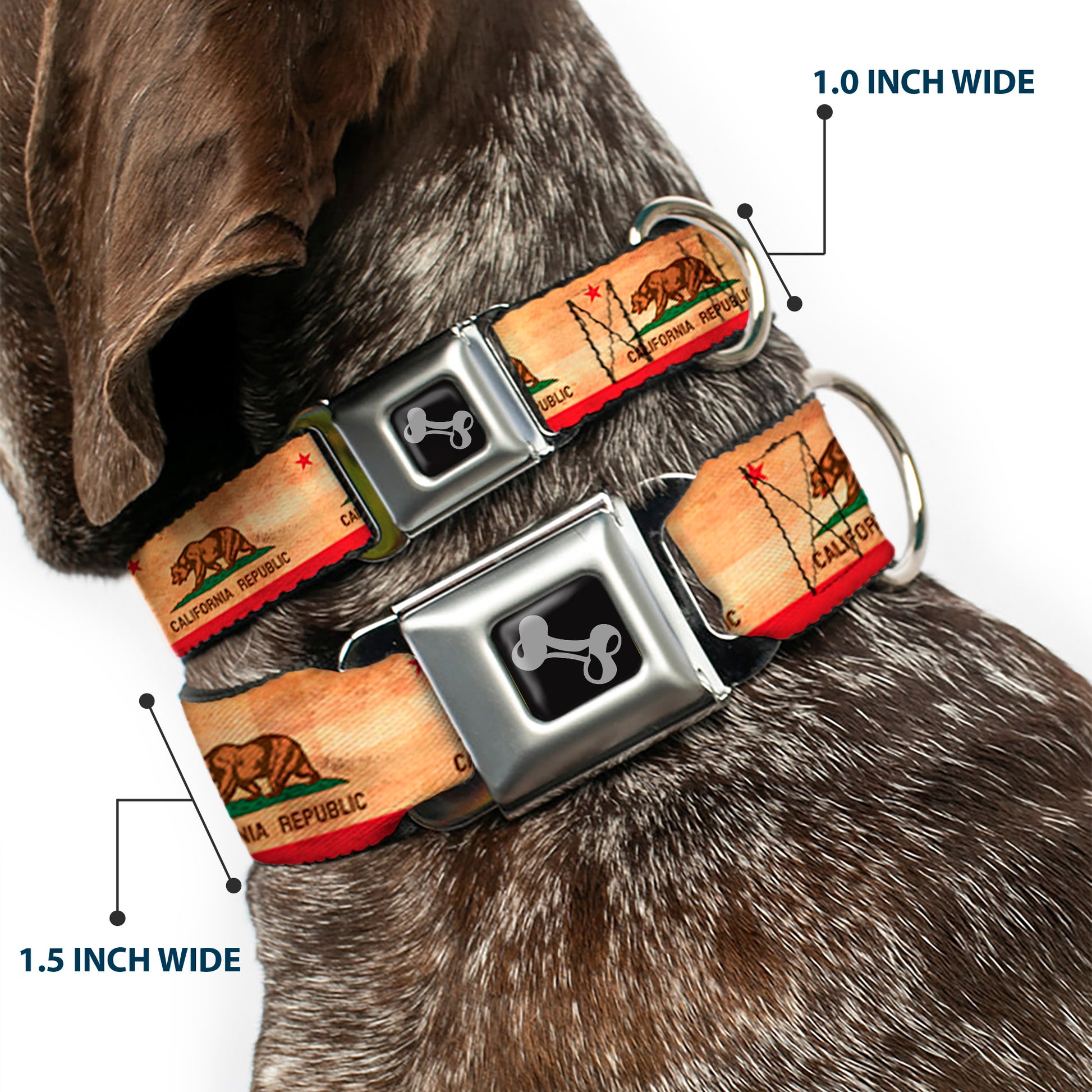 Dog Bone Black/Silver Seatbelt Buckle Collar - California Flag Continuous Vintage Seatbelt Buckle Collars Buckle-Down