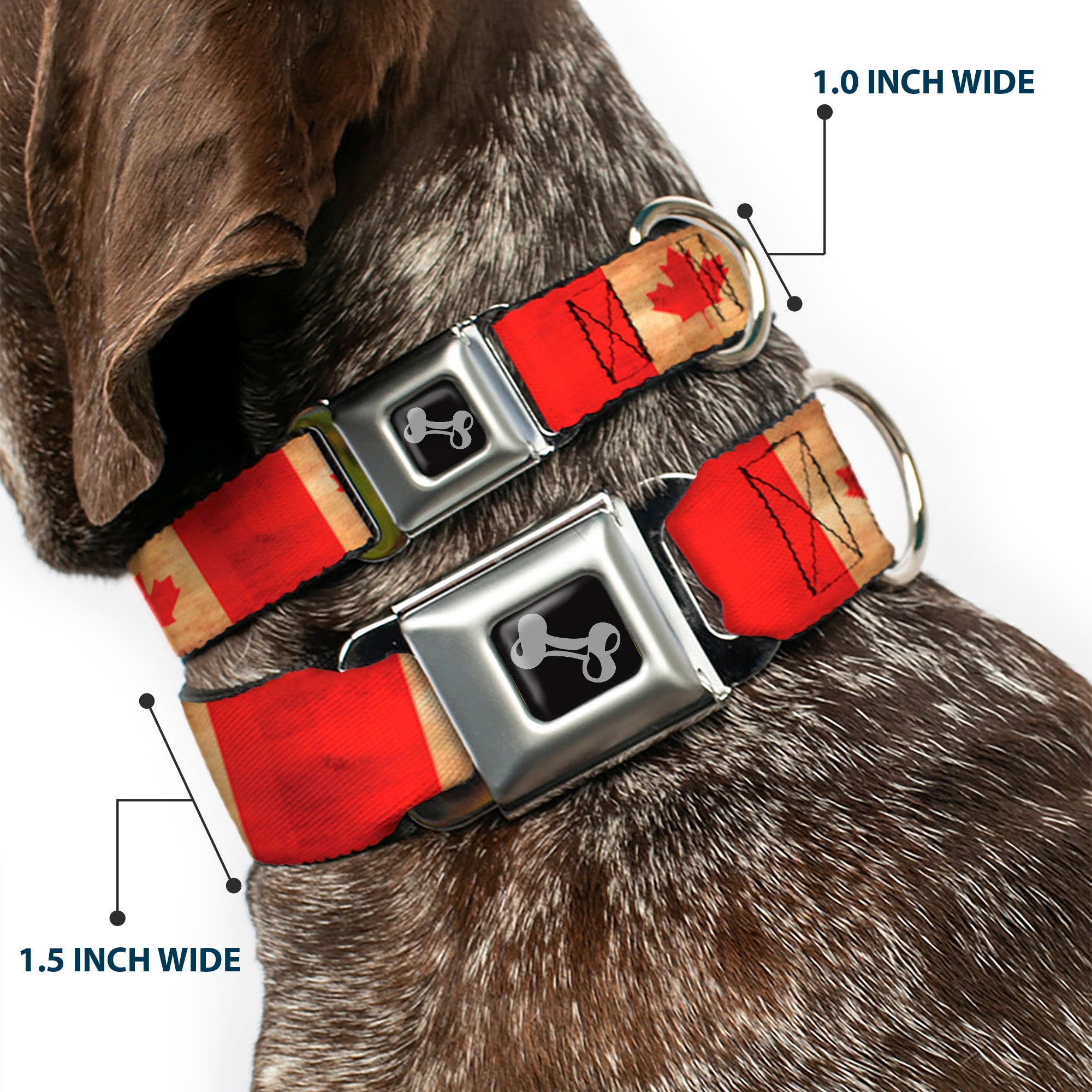 Dog Bone Black/Silver Seatbelt Buckle Collar - Canada Flag Continuous Vintage Seatbelt Buckle Collars Buckle-Down