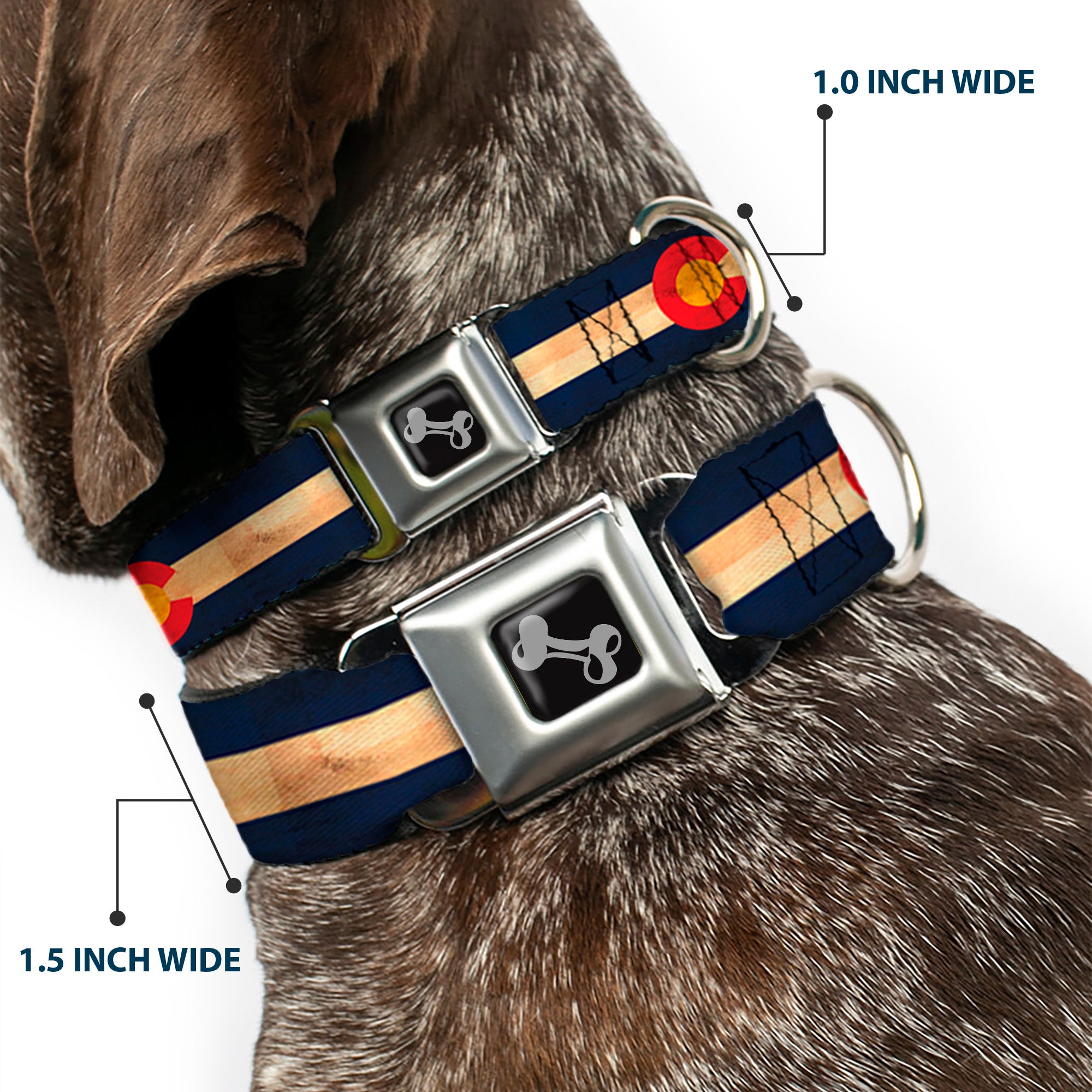 Dog Bone Black/Silver Seatbelt Buckle Collar - Colorado Flag Continuous Vintage Seatbelt Buckle Collars Buckle-Down