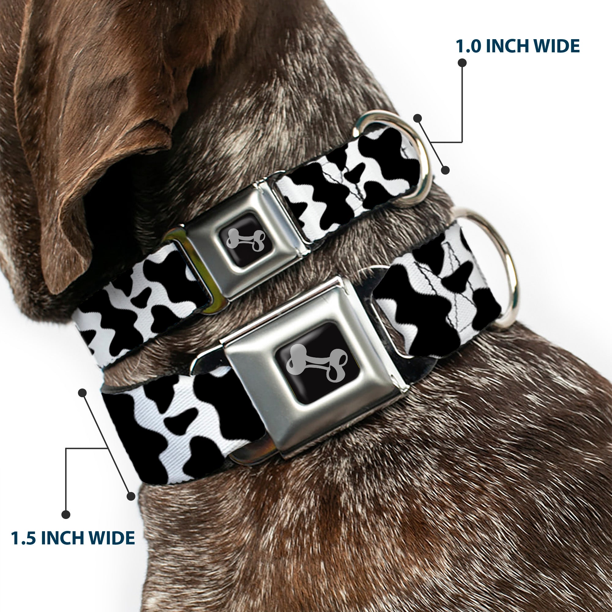 Dog Bone Black/Silver Seatbelt Buckle Collar - Cow Pattern Print White/Black Seatbelt Buckle Collars Buckle-Down