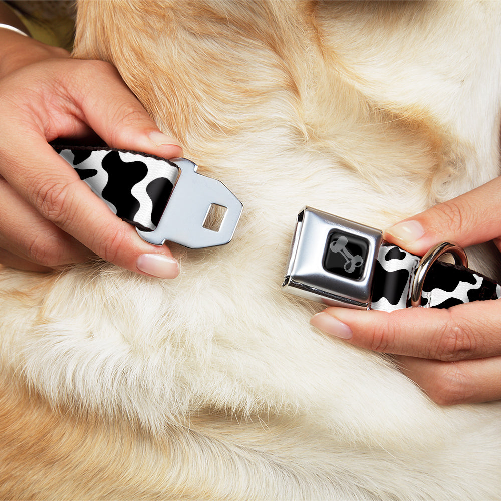 Dog Bone Black/Silver Seatbelt Buckle Collar - Cow Pattern Print White/Black Seatbelt Buckle Collars Buckle-Down