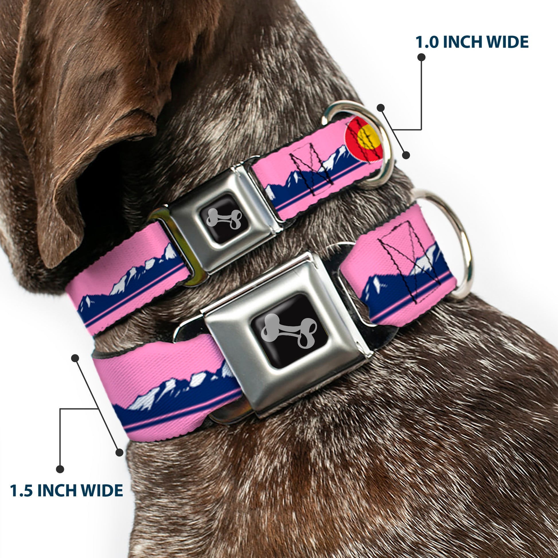 Dog Bone Black/Silver Seatbelt Buckle Collar - Colorado Flag Icon Mountain Skyline Pink/Blue/White Seatbelt Buckle Collars Buckle-Down