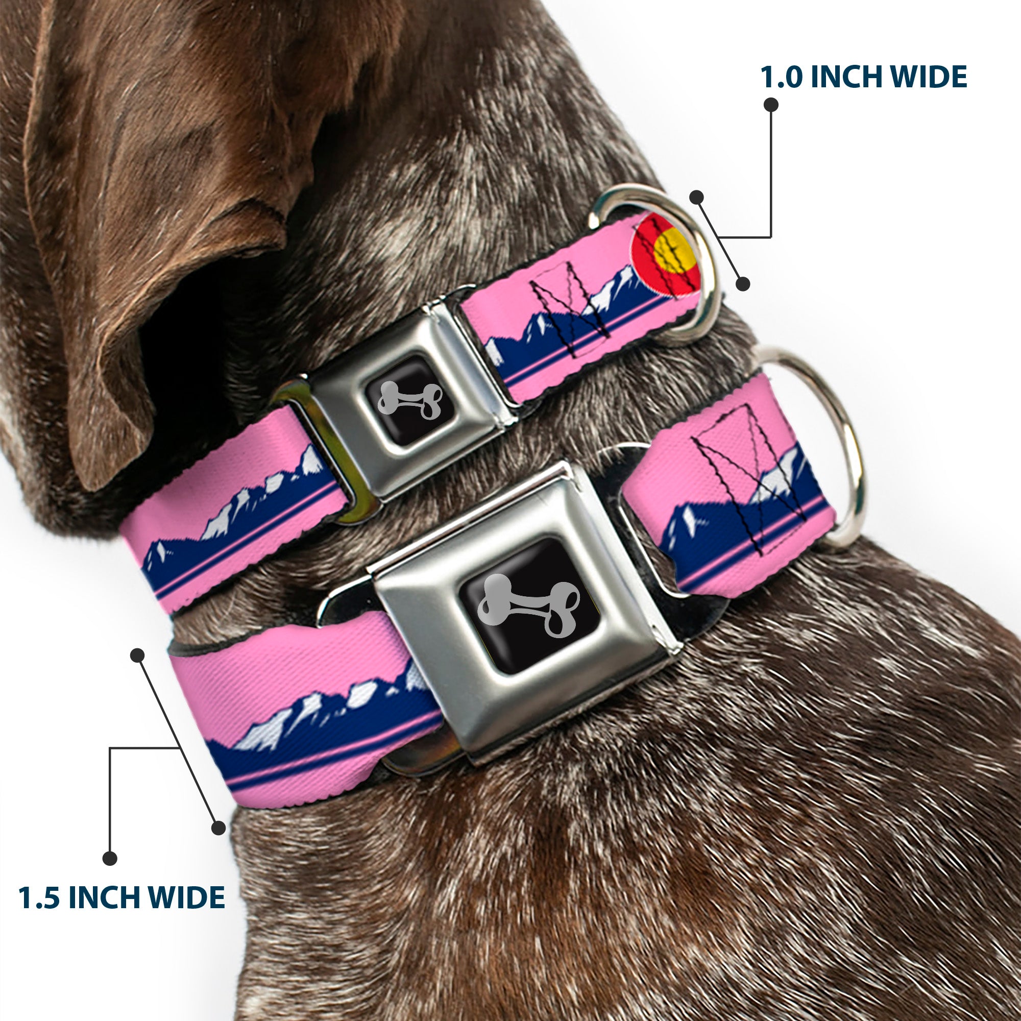 Dog Bone Black/Silver Seatbelt Buckle Collar - Colorado Flag Icon Mountain Skyline Pink/Blue/White Seatbelt Buckle Collars Buckle-Down