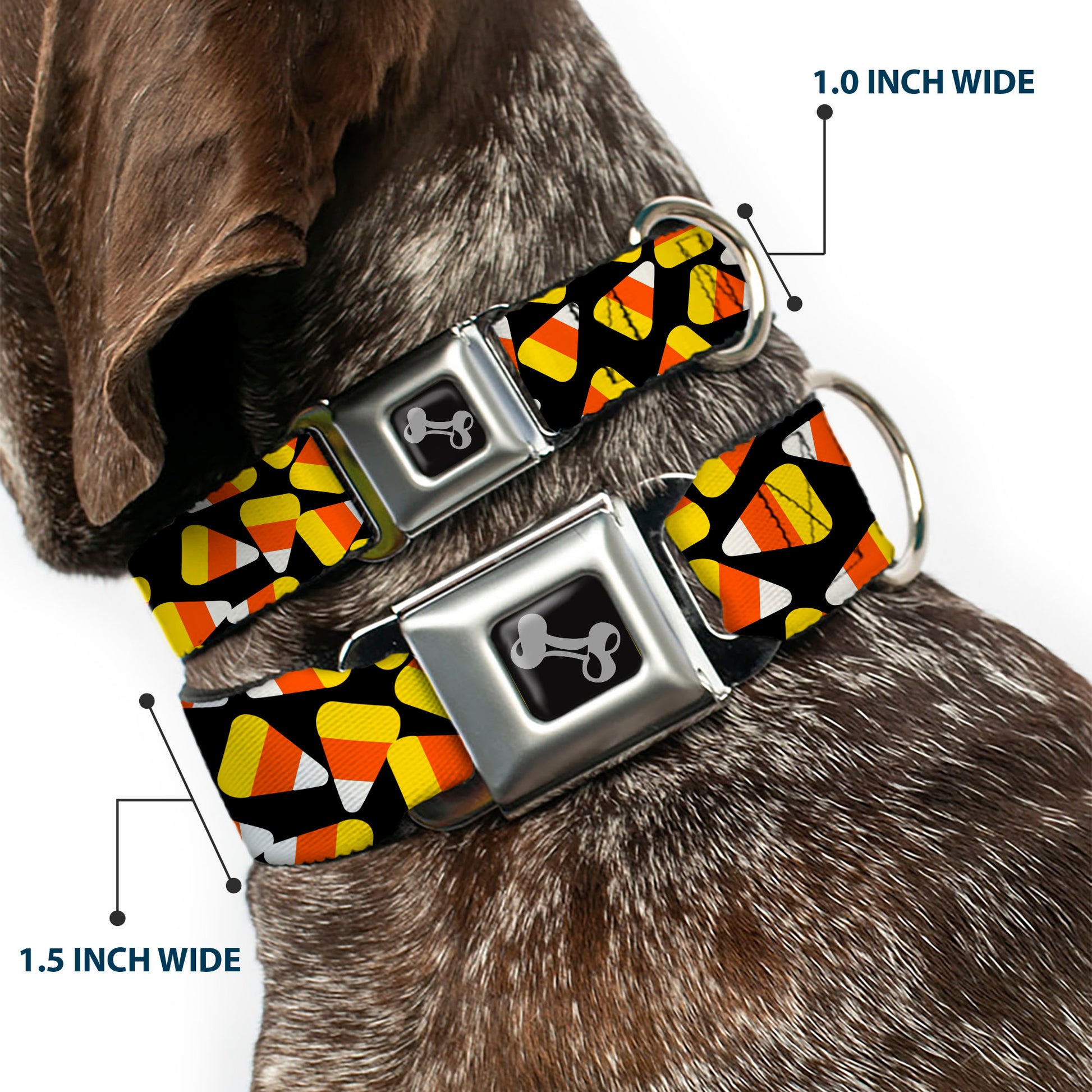 Dog Bone Black/Silver Seatbelt Buckle Collar - Candy Corn Scattered Black/Yellow/Orange/White Seatbelt Buckle Collars Buckle-Down