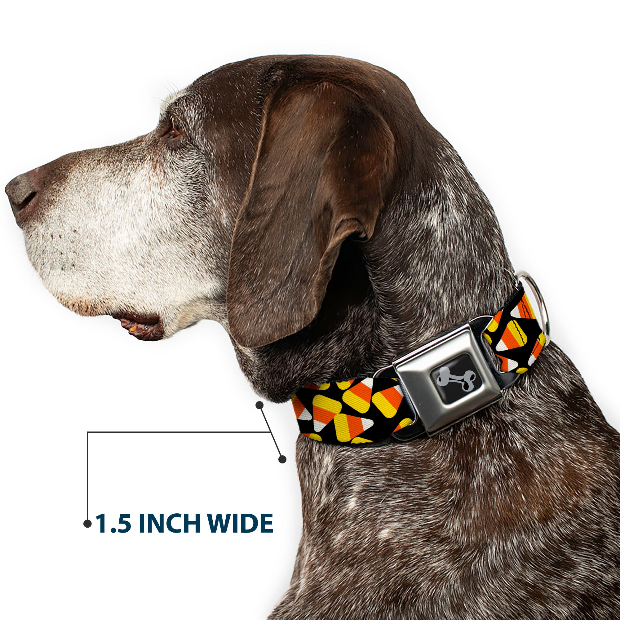 Dog Bone Black/Silver Seatbelt Buckle Collar - Candy Corn Scattered Black/Yellow/Orange/White Seatbelt Buckle Collars Buckle-Down