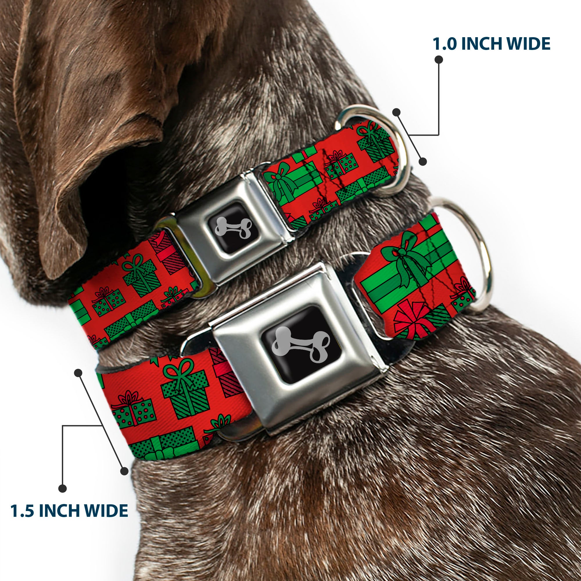 Dog Bone Black/Silver Seatbelt Buckle Collar - Christmas Holiday Gifts Packaged Red/Greens Seatbelt Buckle Collars Buckle-Down