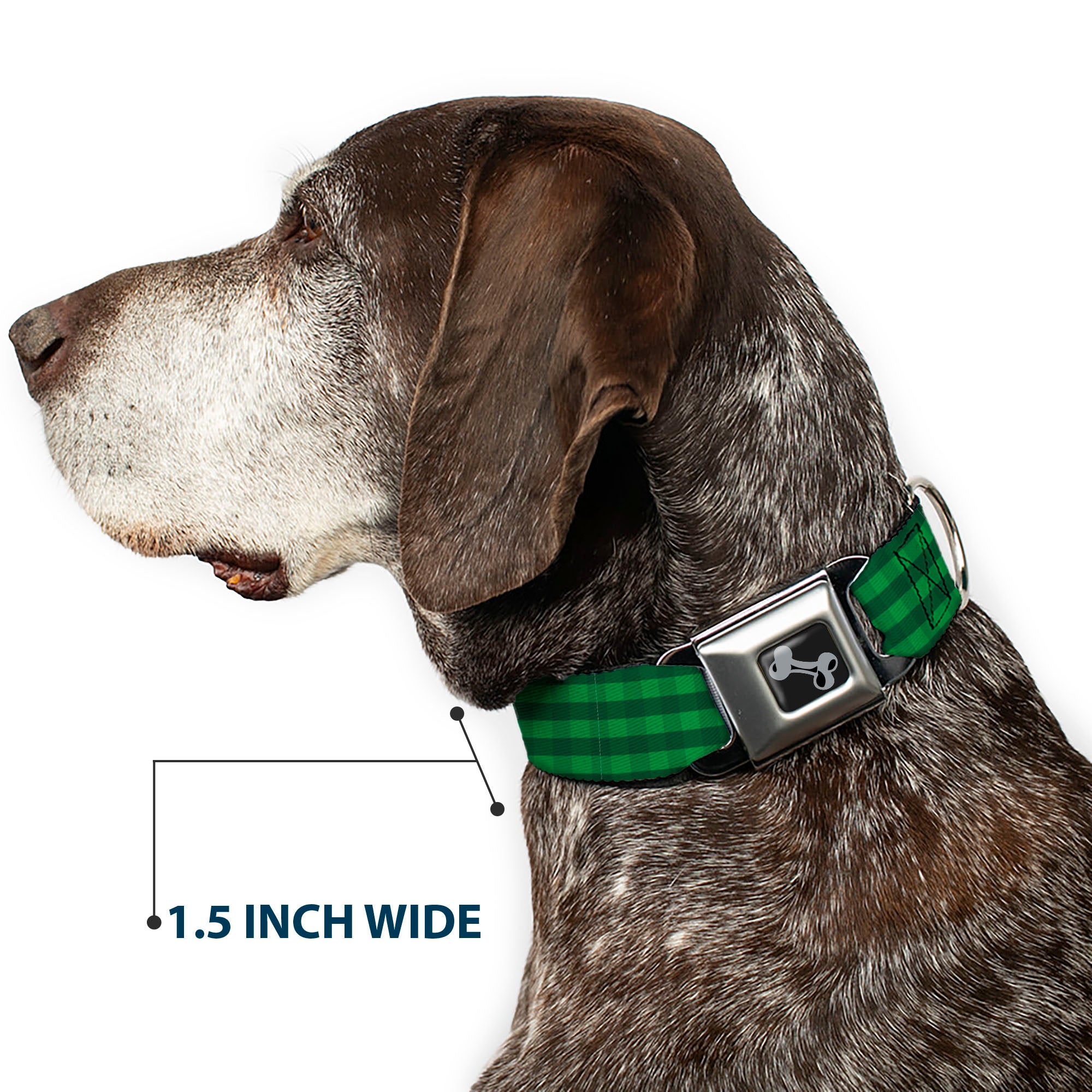 Dog Bone Black/Silver Seatbelt Buckle Collar - Christmas Pajama Plaid Greens Seatbelt Buckle Collars Buckle-Down