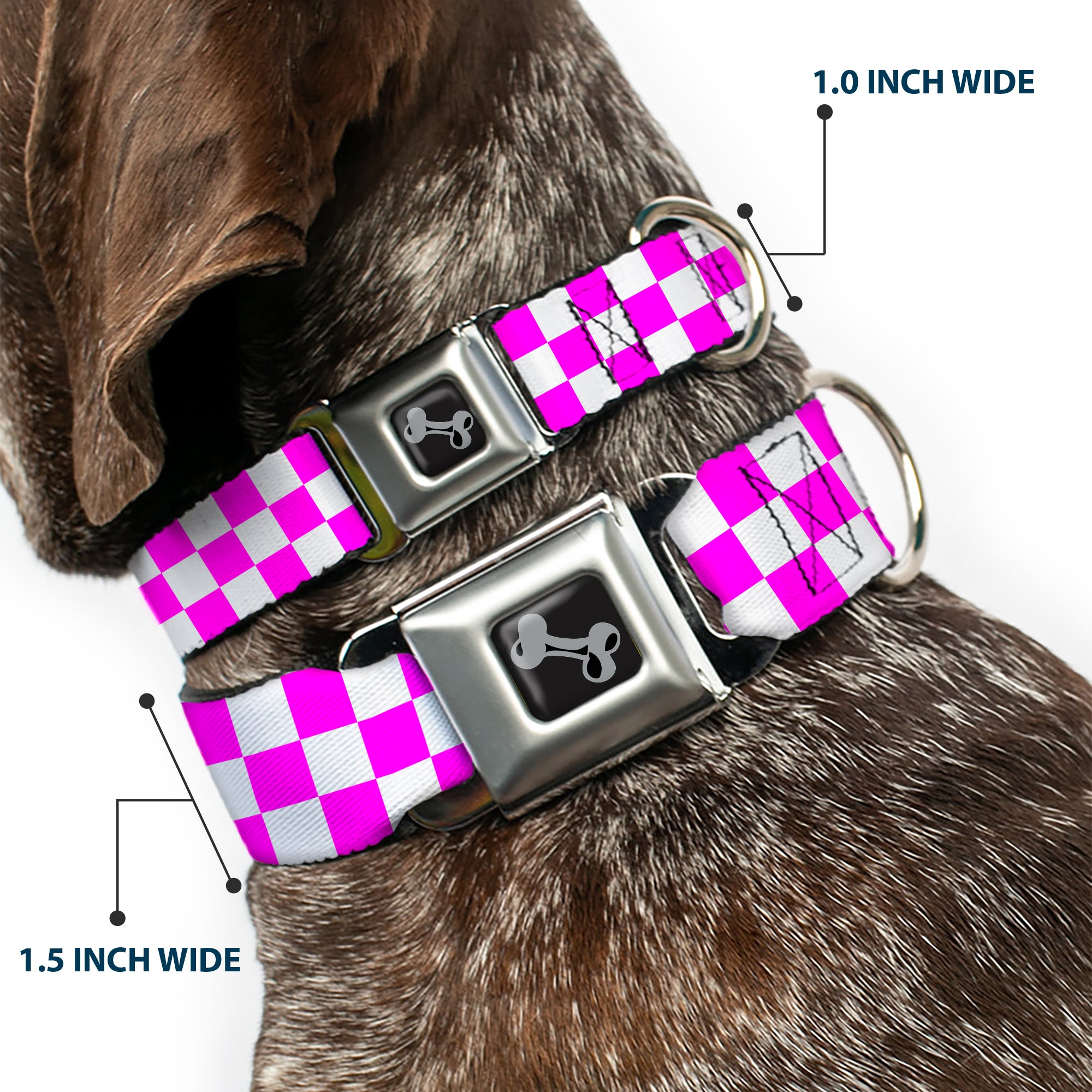 Dog Bone Black/Silver Seatbelt Buckle Collar - Checker Fuchsia Pink/White Seatbelt Buckle Collars Buckle-Down