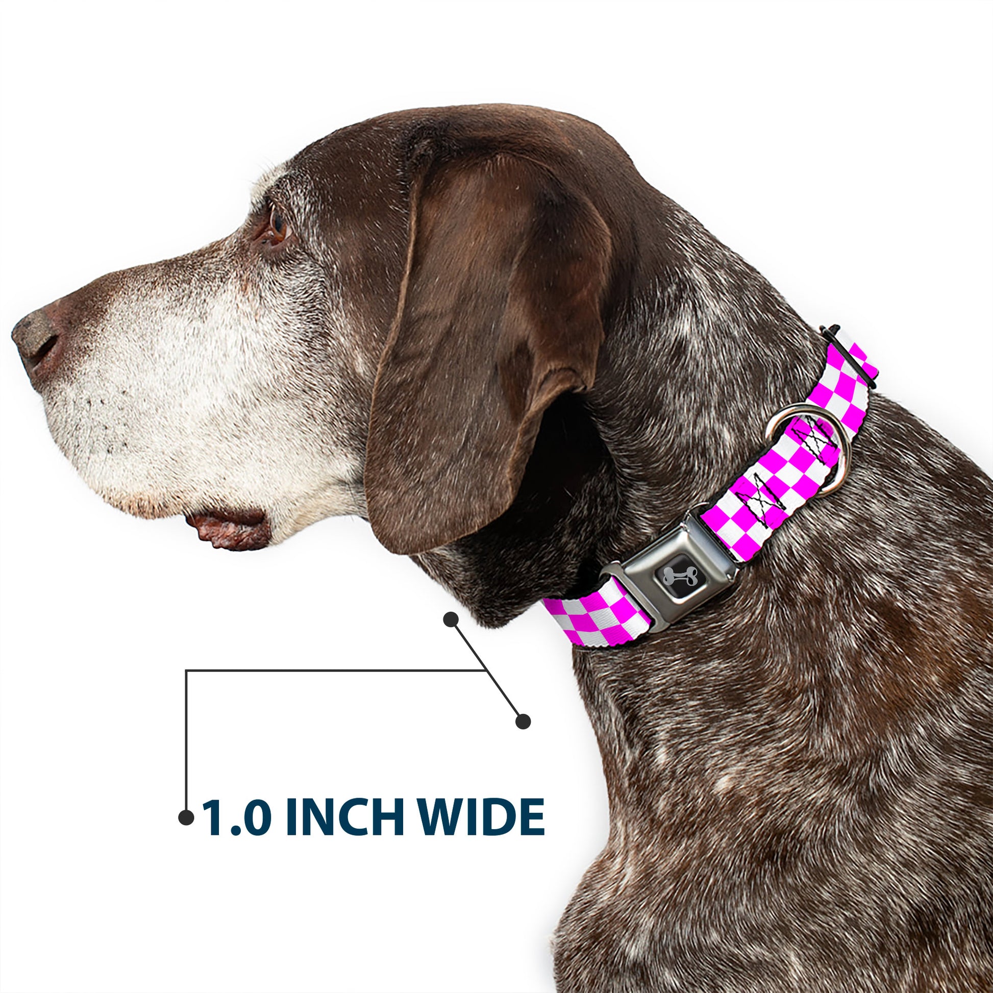 Dog Bone Black/Silver Seatbelt Buckle Collar - Checker Fuchsia Pink/White Seatbelt Buckle Collars Buckle-Down
