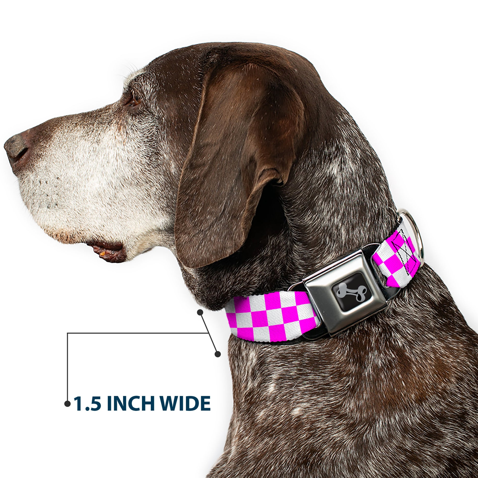 Dog Bone Black/Silver Seatbelt Buckle Collar - Checker Fuchsia Pink/White Seatbelt Buckle Collars Buckle-Down