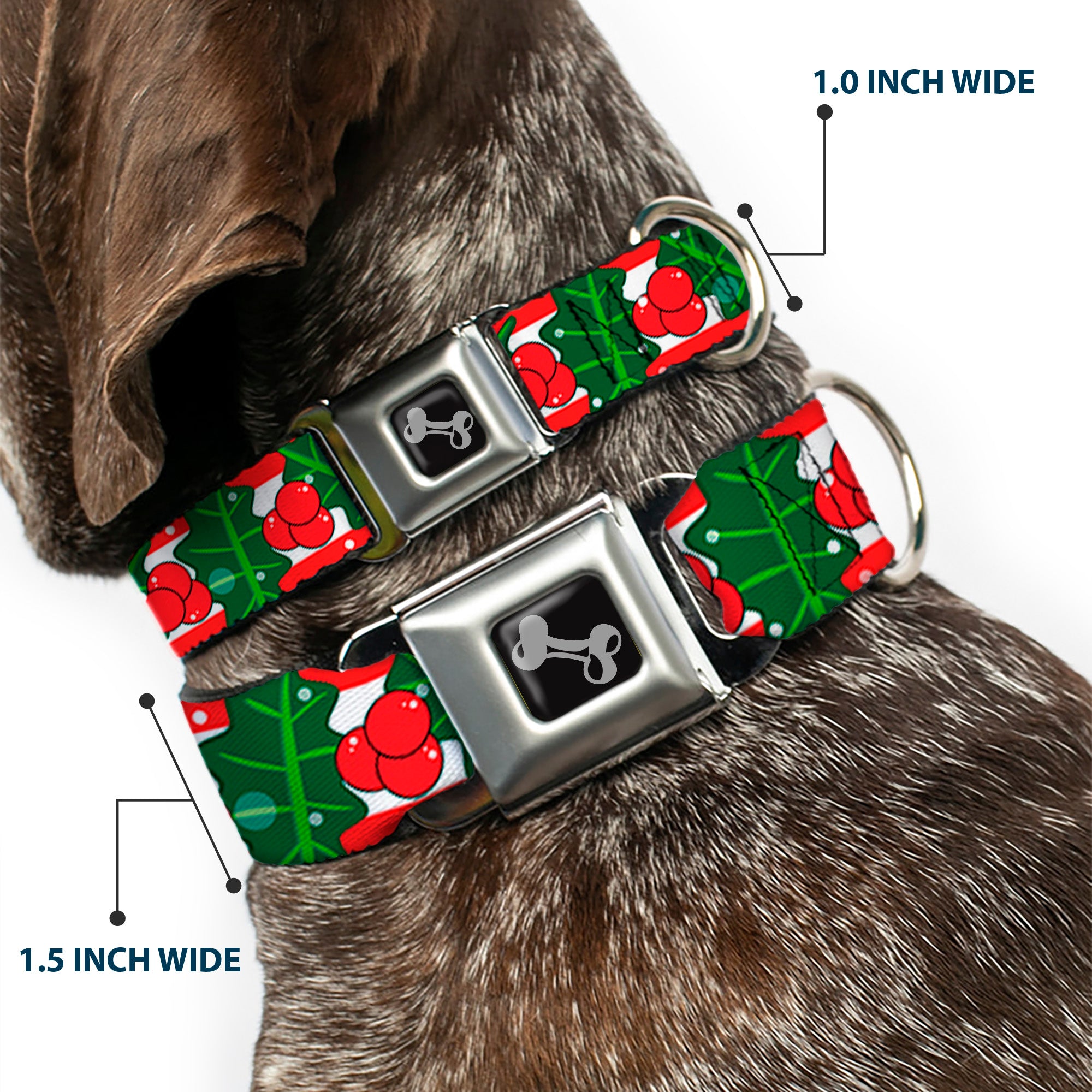 Dog Bone Black/Silver Seatbelt Buckle Collar - Snowy Holly Stripe Reds/White/Greens Seatbelt Buckle Collars Buckle-Down