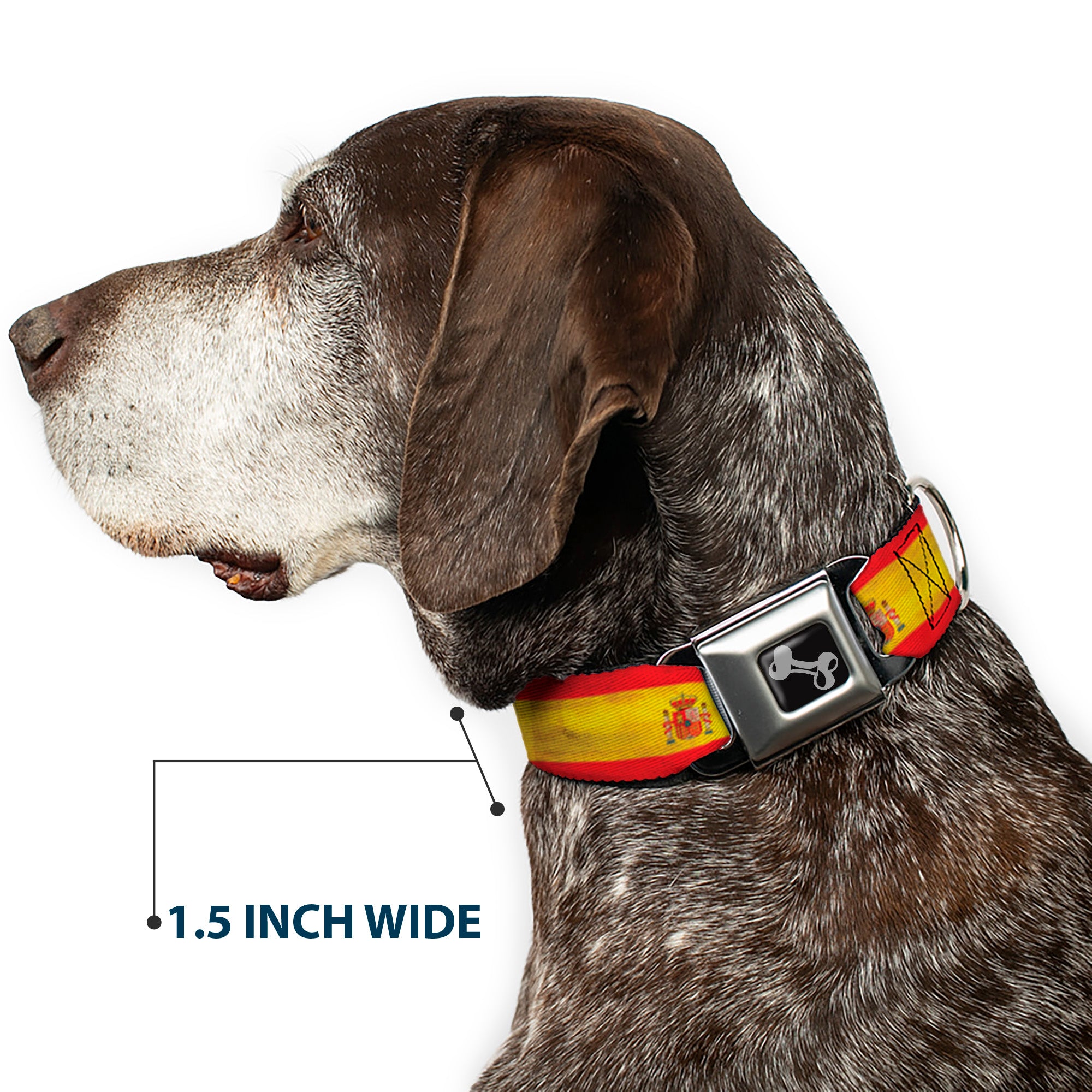 Dog Bone Black/Silver Seatbelt Buckle Collar - Spain Flag Continuous Vintage Seatbelt Buckle Collars Buckle-Down