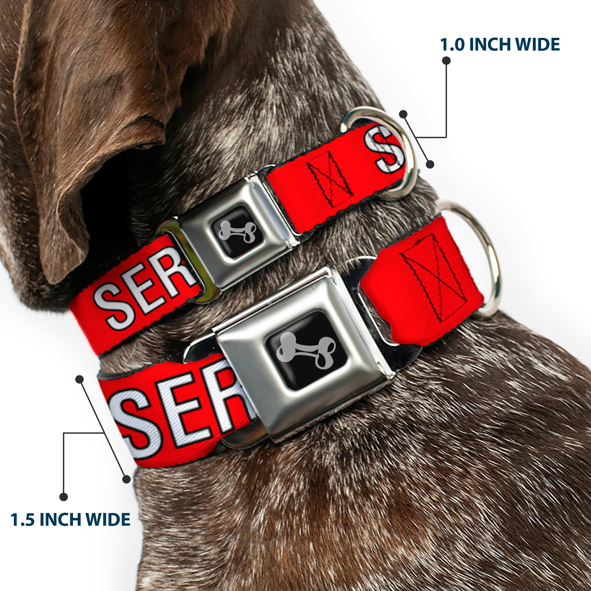 Dog Bone Black/Silver Seatbelt Buckle Collar - SERVICE DOG Red/Black/White Seatbelt Buckle Collars Buckle-Down