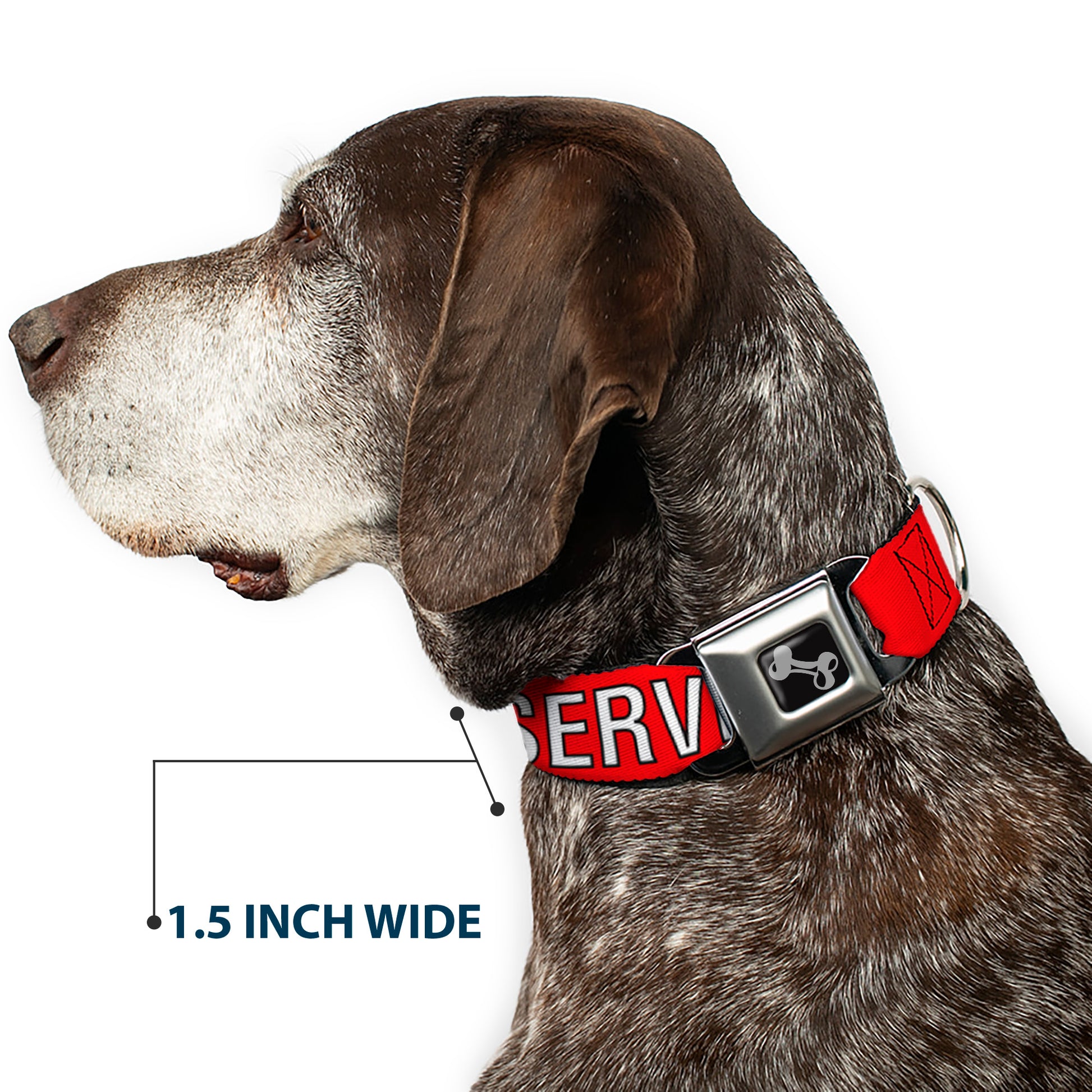 Dog Bone Black/Silver Seatbelt Buckle Collar - SERVICE DOG Red/Black/White Seatbelt Buckle Collars Buckle-Down