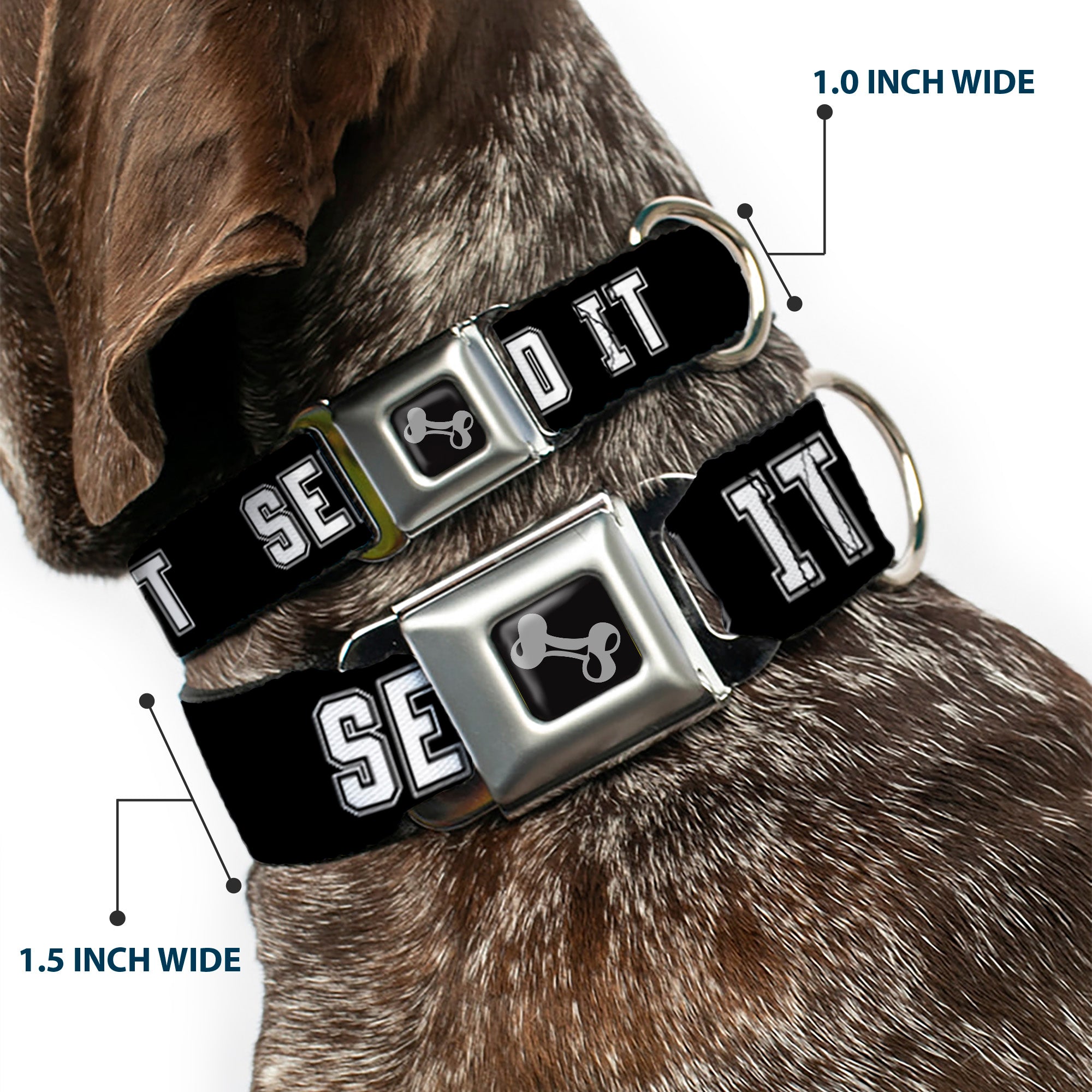 Dog Bone Black/Silver Seatbelt Buckle Collar - SEND IT Black/White Seatbelt Buckle Collars Buckle-Down