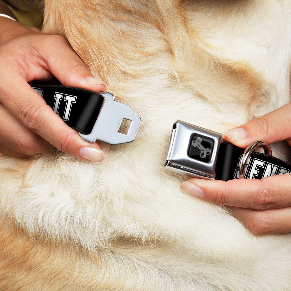 Dog Bone Black/Silver Seatbelt Buckle Collar - SEND IT Black/White Seatbelt Buckle Collars Buckle-Down