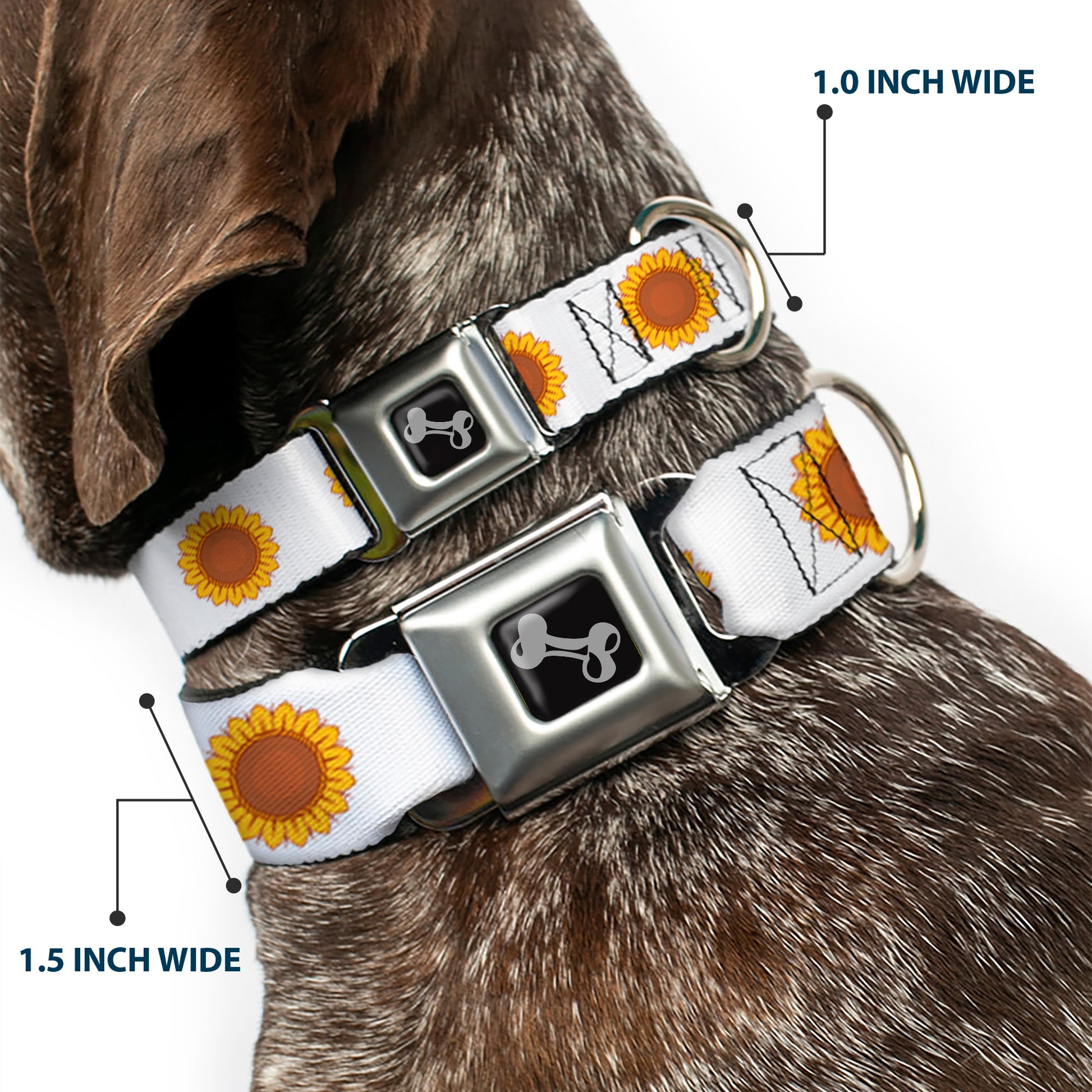 Dog Bone Black/Silver Seatbelt Buckle Collar - Sunflower Face Repeat White Seatbelt Buckle Collars Buckle-Down