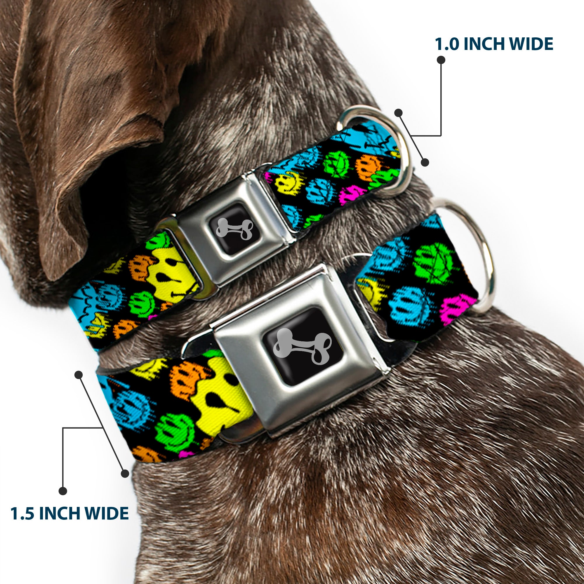 Dog Bone Black/Silver Seatbelt Buckle Collar - Smiley Faces Melted Stacked Black/Multi Neon Seatbelt Buckle Collars Buckle-Down