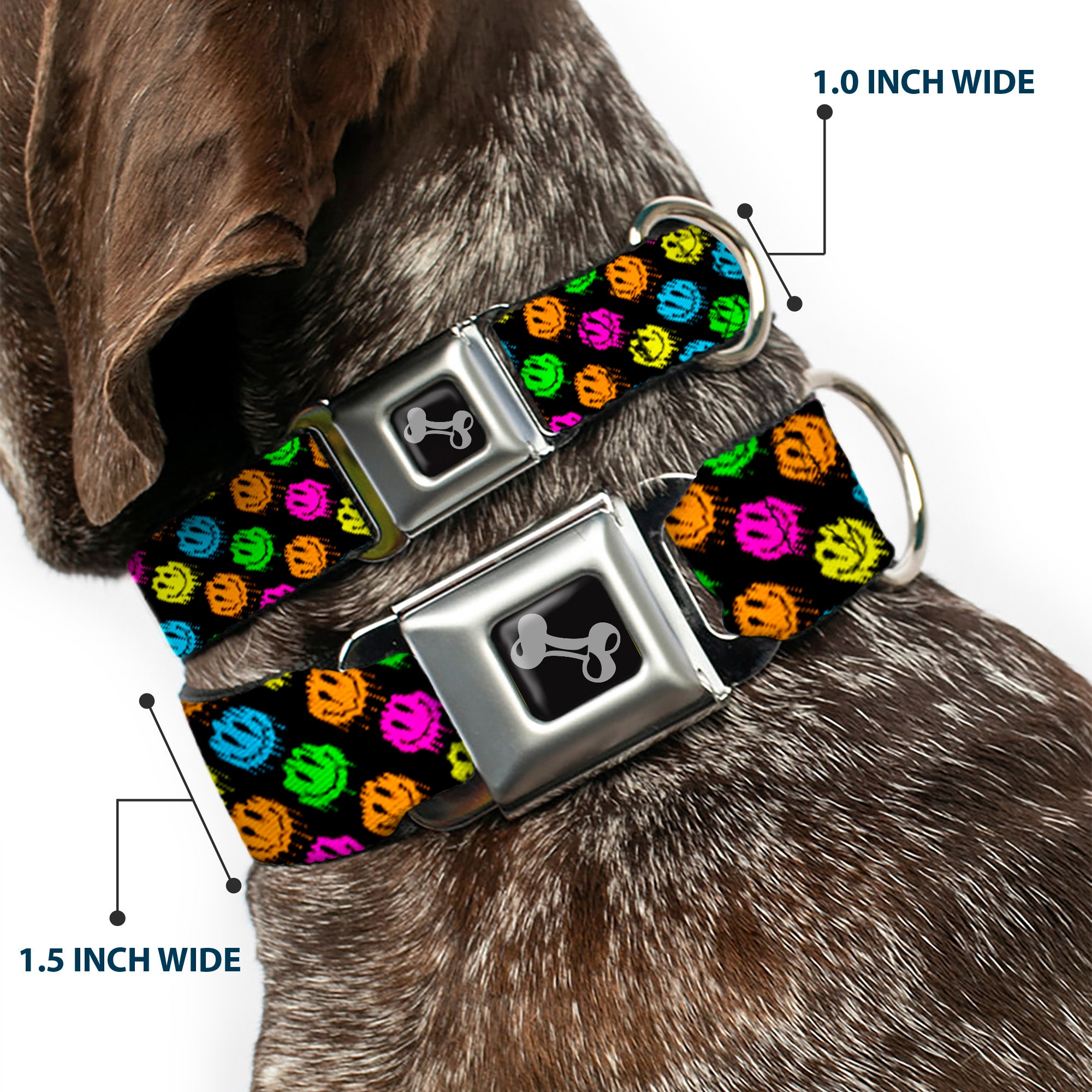 Dog Bone Black/Silver Seatbelt Buckle Collar - Smiley Faces Melted Mini Repeat Angle Black/Multi Neon Seatbelt Buckle Collars Buckle-Down