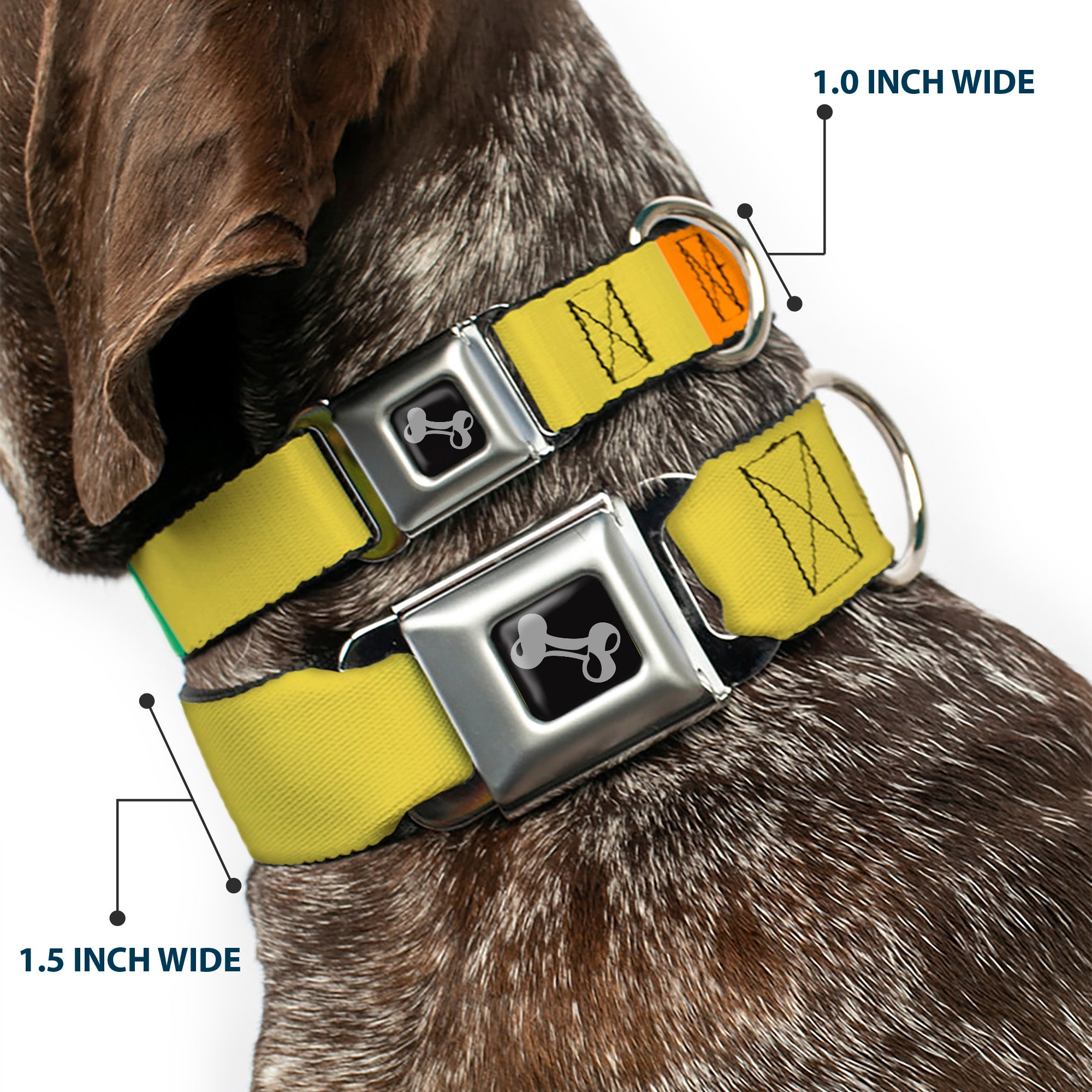 Dog Bone Black/Silver Seatbelt Buckle Collar - Summer Essentials Color Block 1 Seatbelt Buckle Collars Buckle-Down
