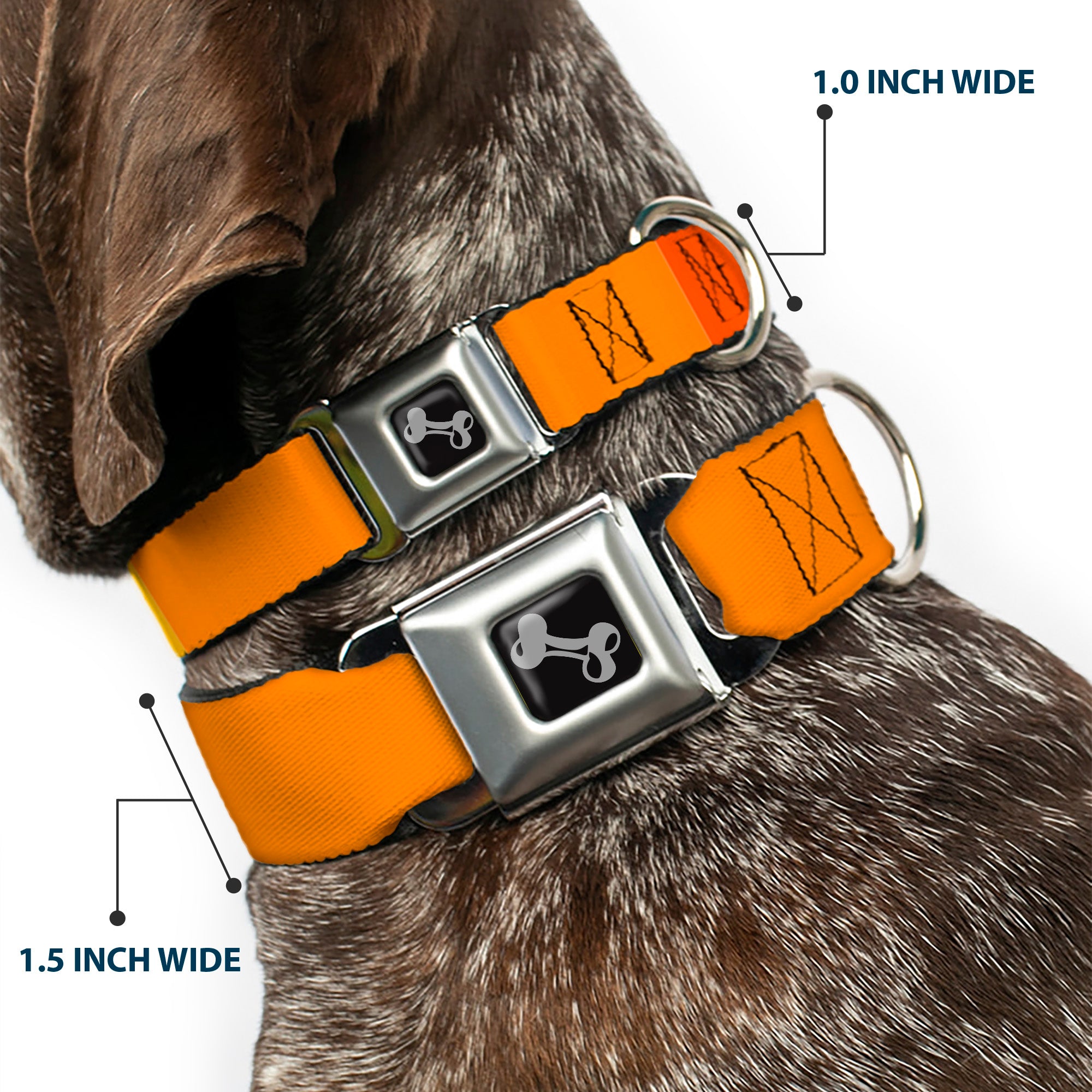 Dog Bone Black/Silver Seatbelt Buckle Collar - Summer Essentials Color Block 2 Seatbelt Buckle Collars Buckle-Down