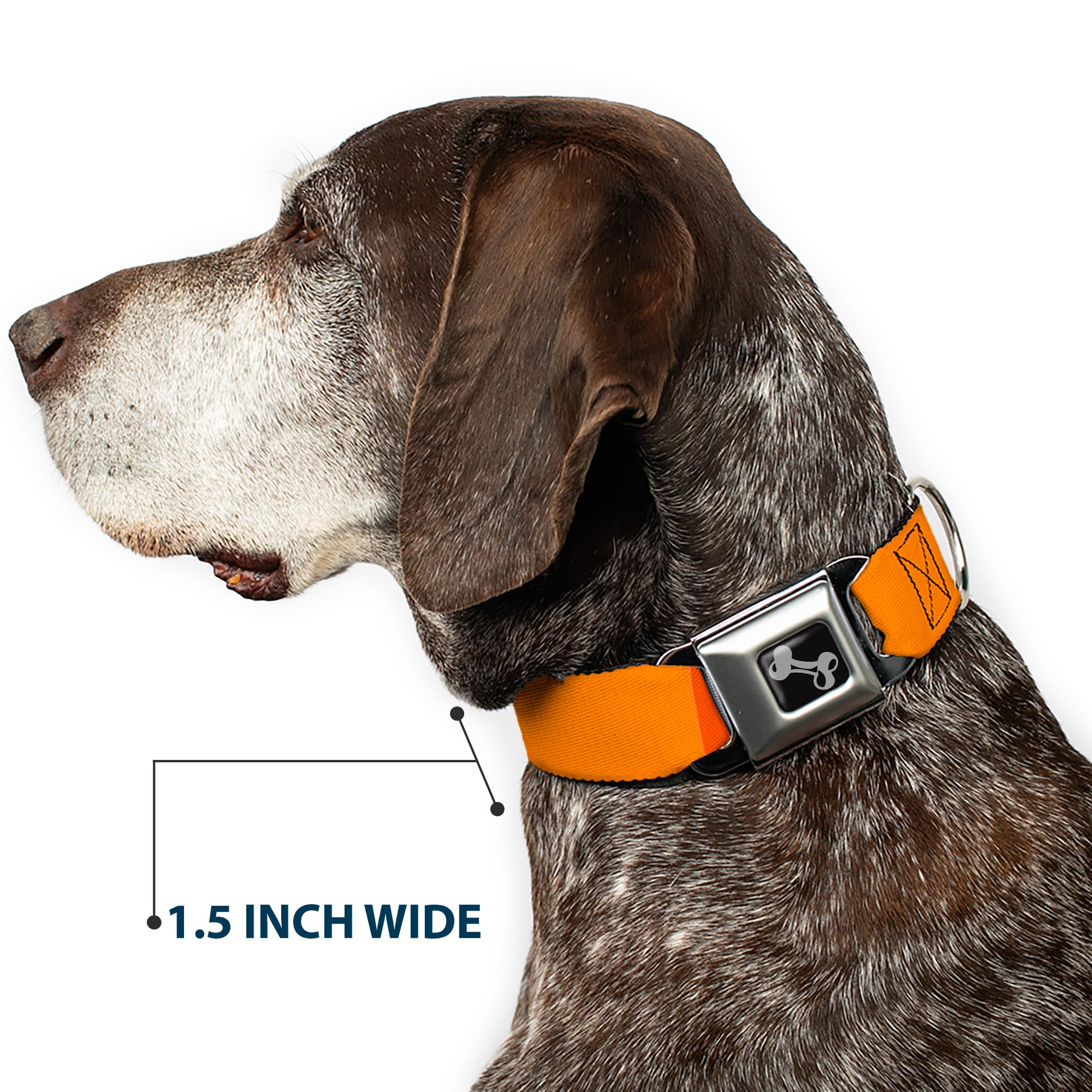 Dog Bone Black/Silver Seatbelt Buckle Collar - Summer Essentials Color Block 2 Seatbelt Buckle Collars Buckle-Down